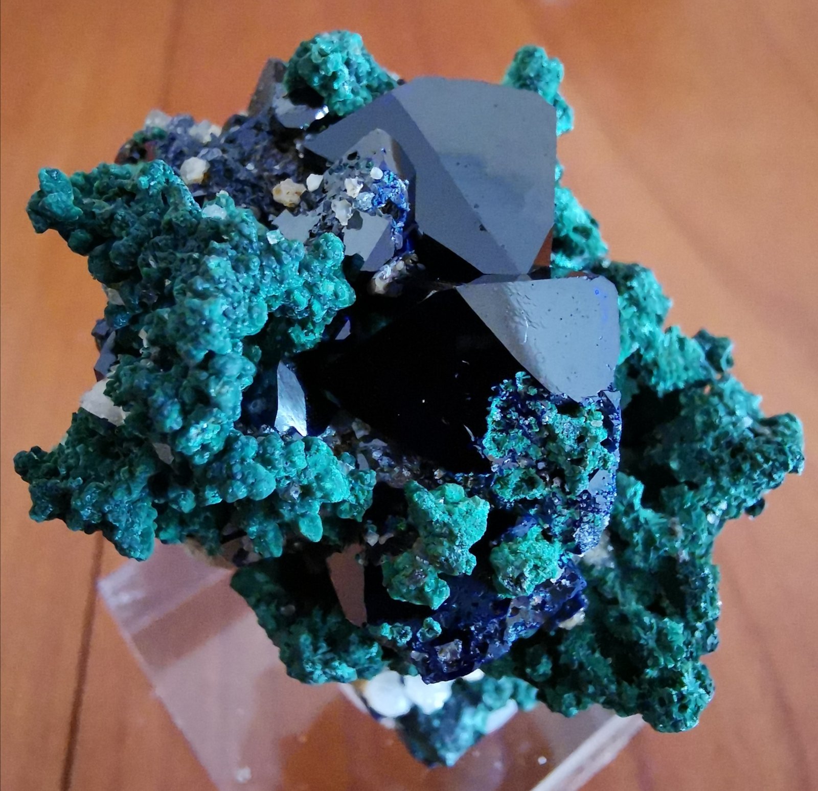 Azurite
3 cm x 5 cm
(Autor: Enrique Llorens)