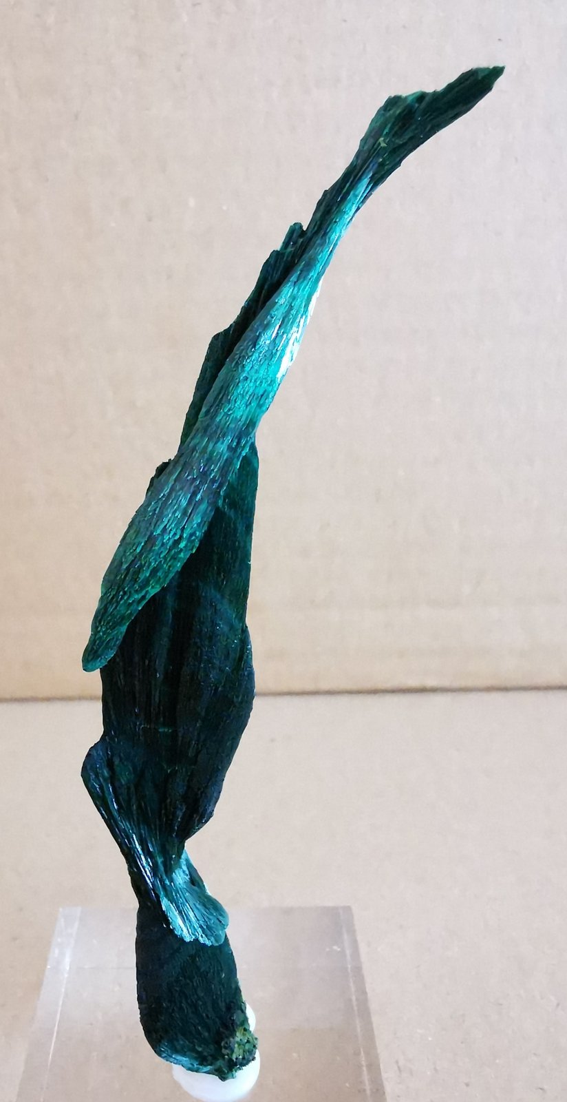 Malachite
1,5 cm x 11cm.
(Autor: Enrique Llorens)