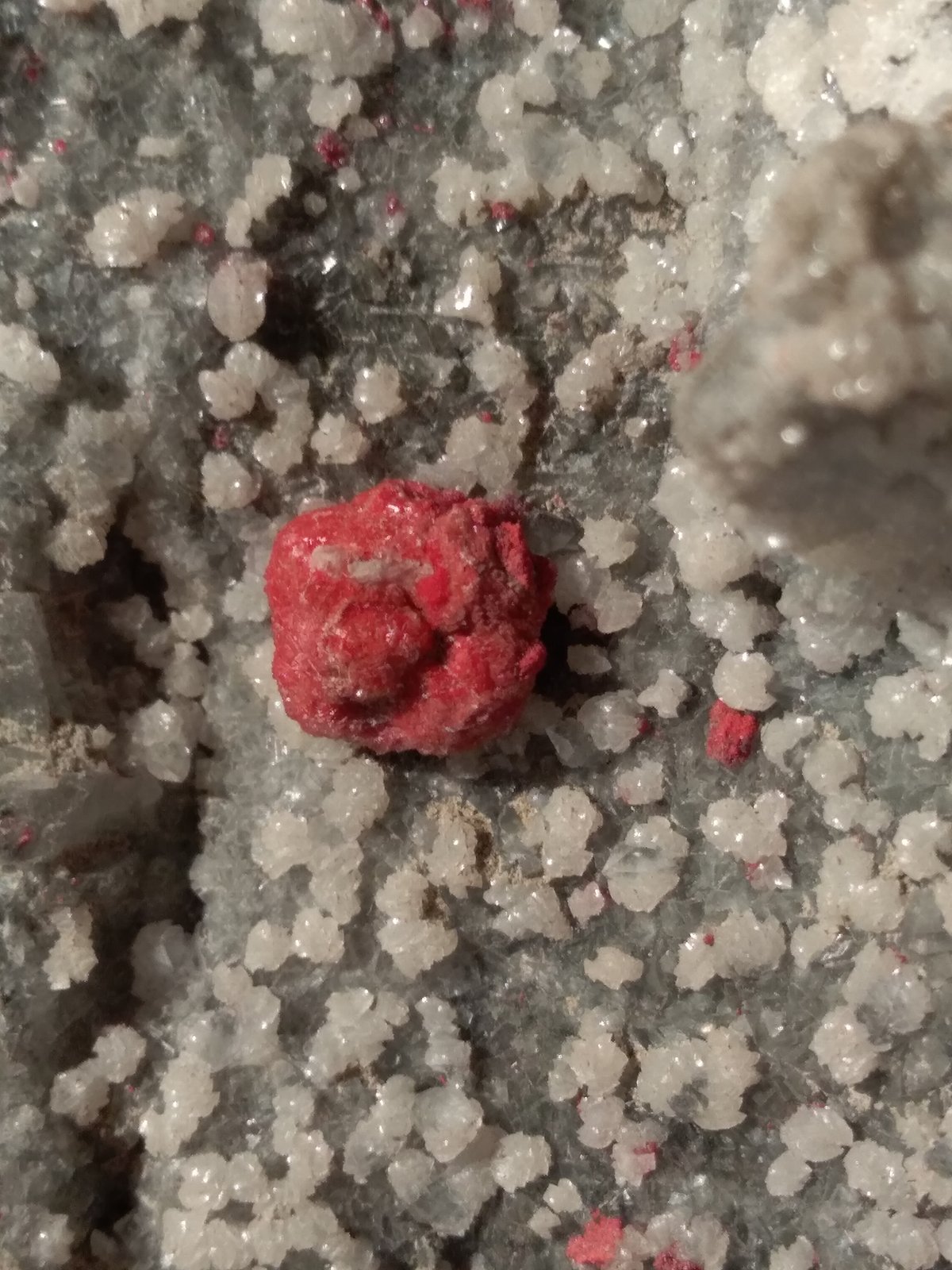 Cinnabar, Dolomite
13 x 11 cm
(Autor: Sante Celiberti)