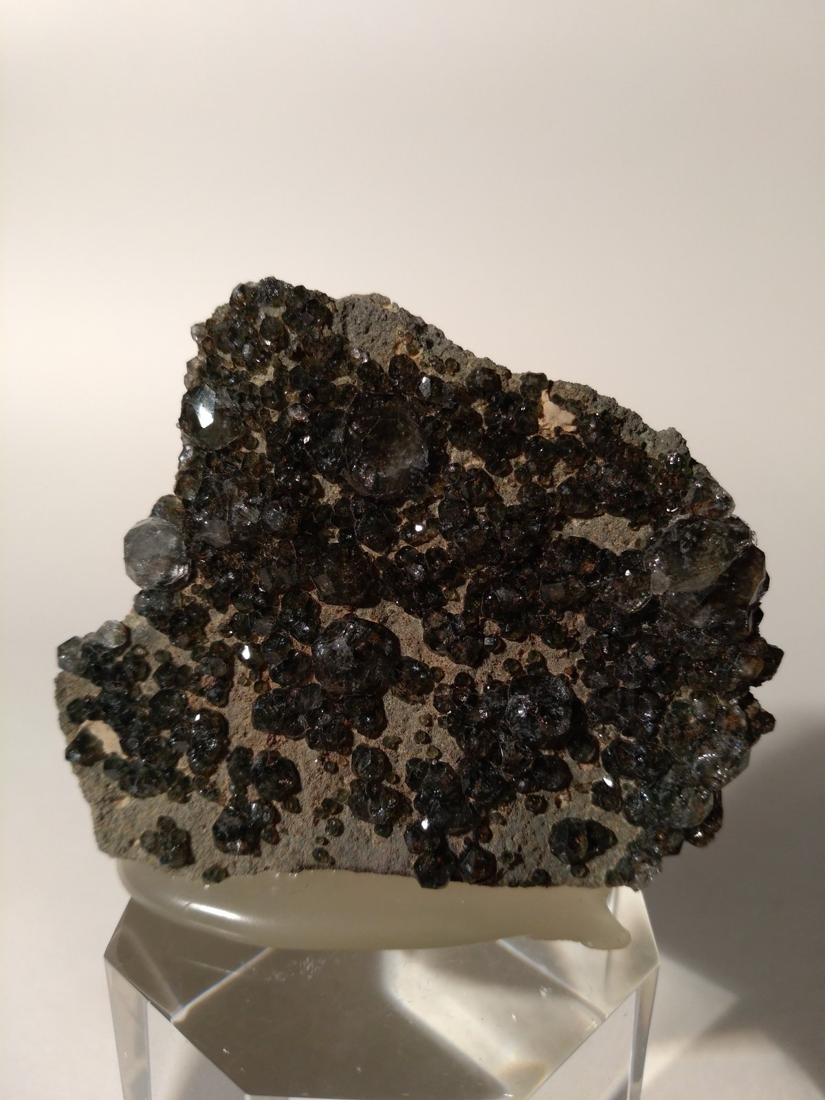 Analcime
53 mm x 47 mm
(Autor: Sante Celiberti)
