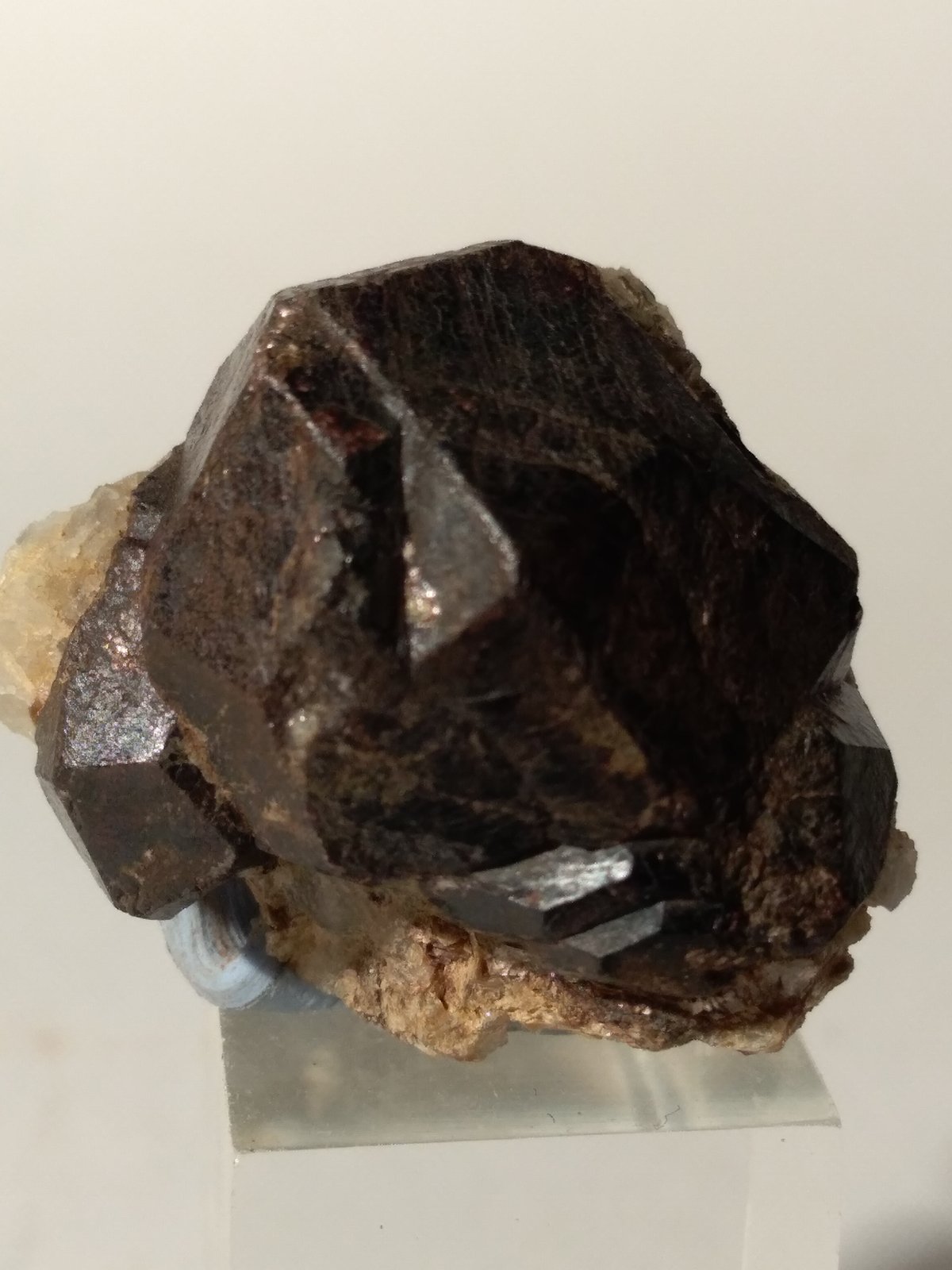 Almandine
25 mm x 25 mm
(Autor: Sante Celiberti)