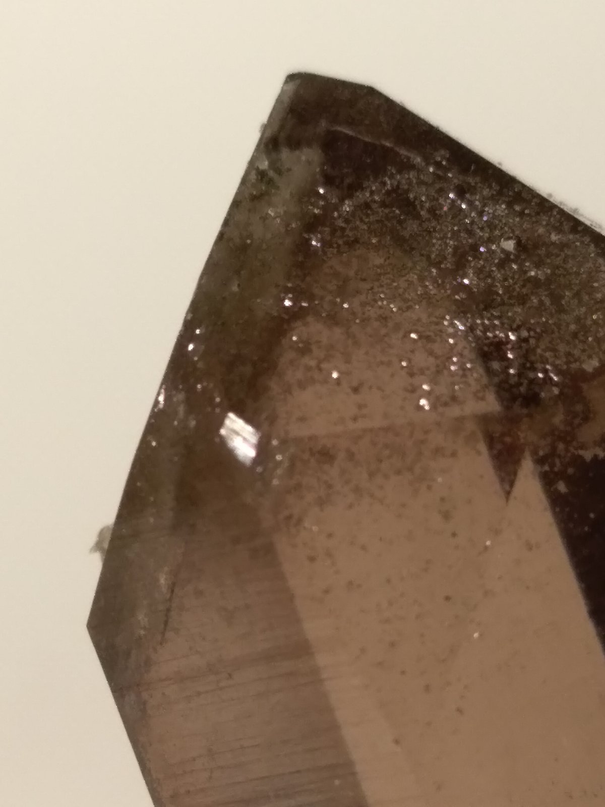 Quartz (variety smoky)
43 x 26 mm
(Autor: Sante Celiberti)