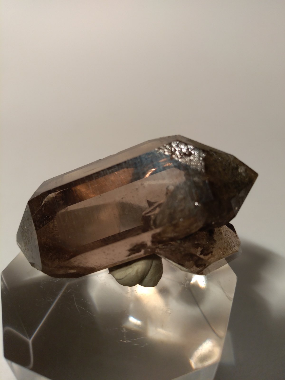 Quartz (variety smoky)
43 x 26 mm
(Autor: Sante Celiberti)