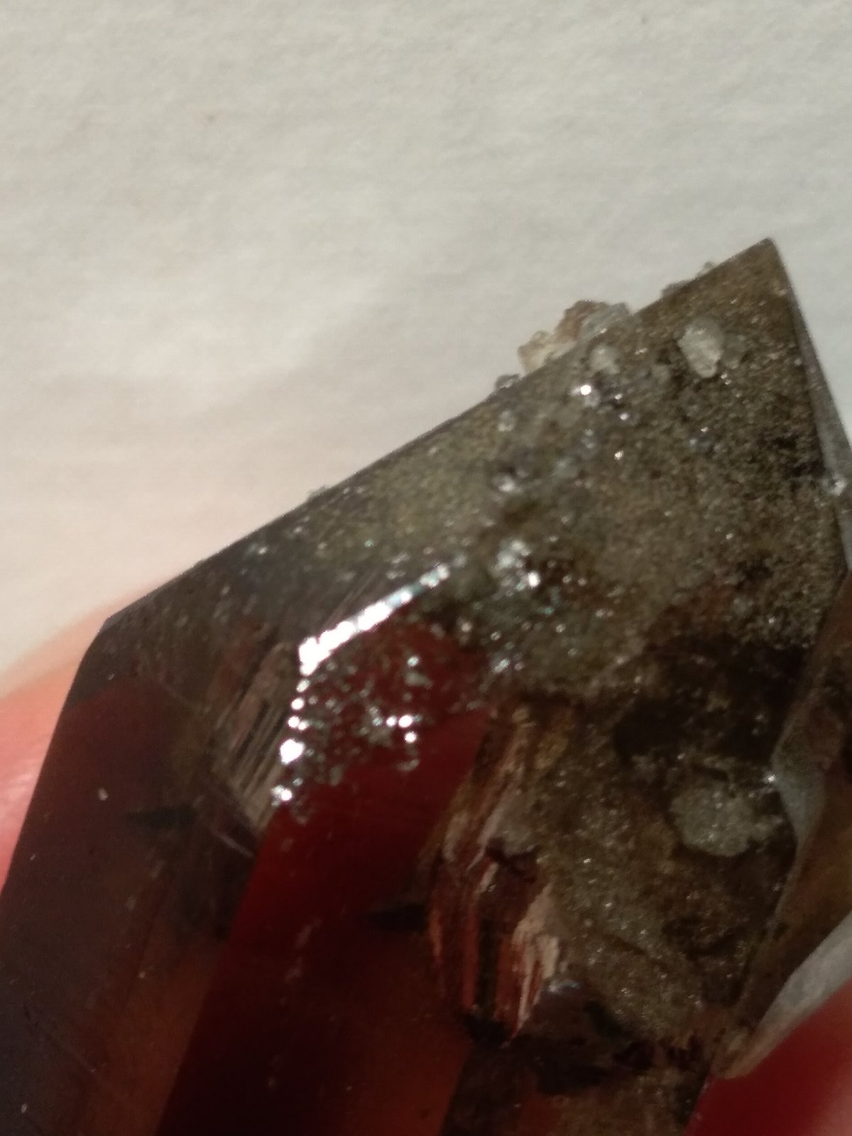 Quartz (variety smoky)
43 x 26 mm
(Autor: Sante Celiberti)