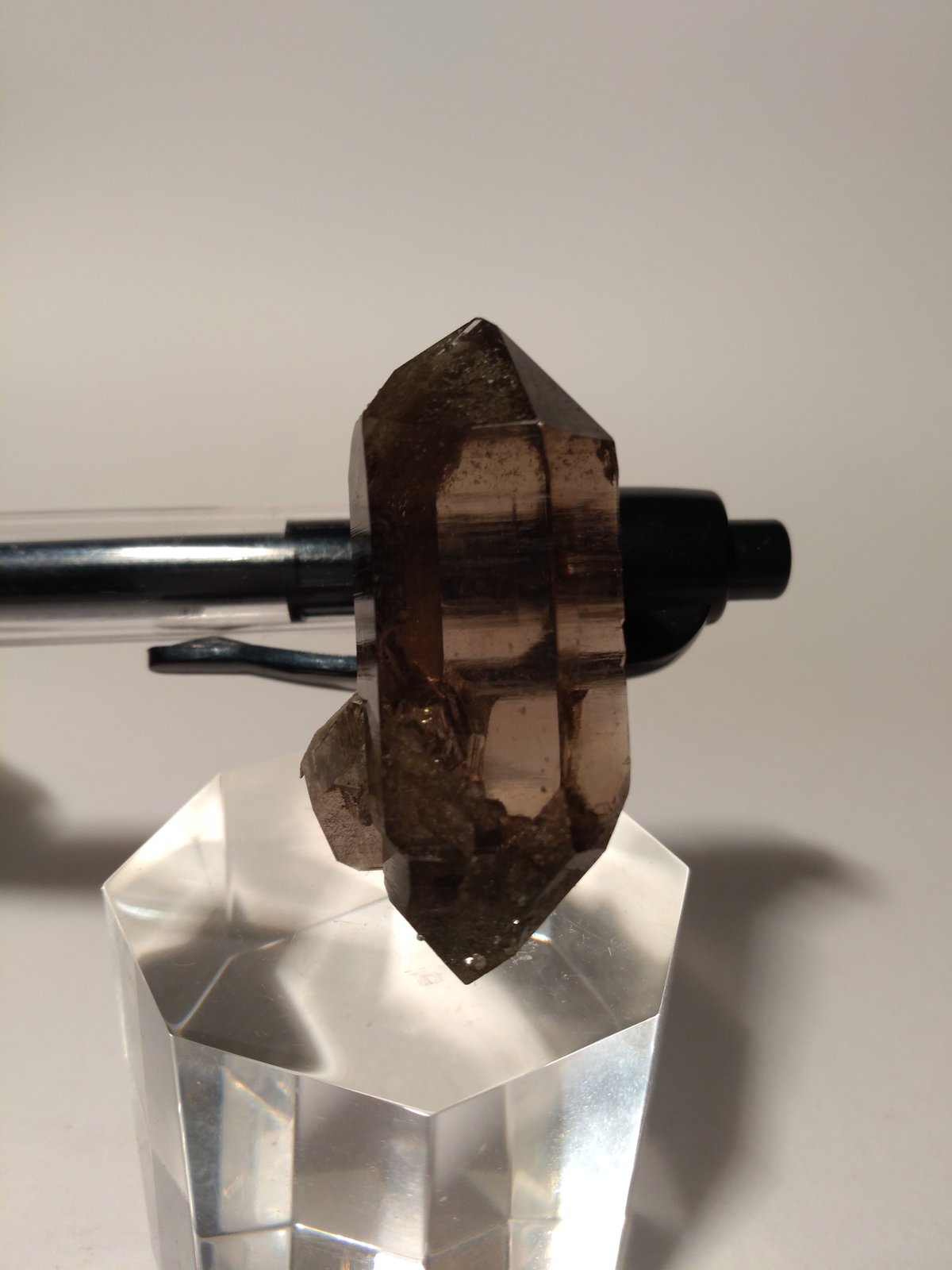 Quartz (variety smoky)
43 x 26 mm
(Autor: Sante Celiberti)