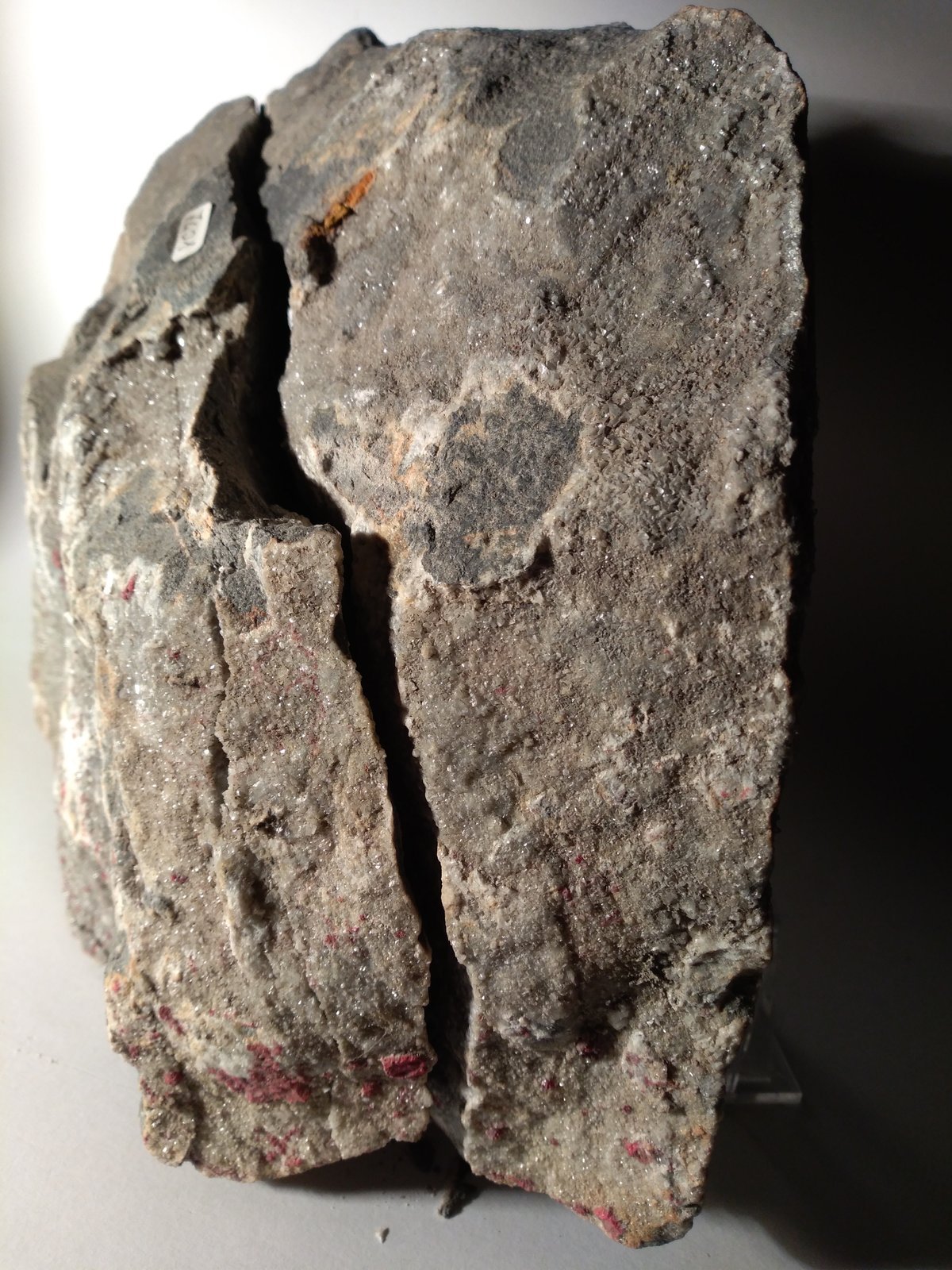 Cinnabar
28,5 x 19 cm; 27 x 21 cm
(Autor: Sante Celiberti)