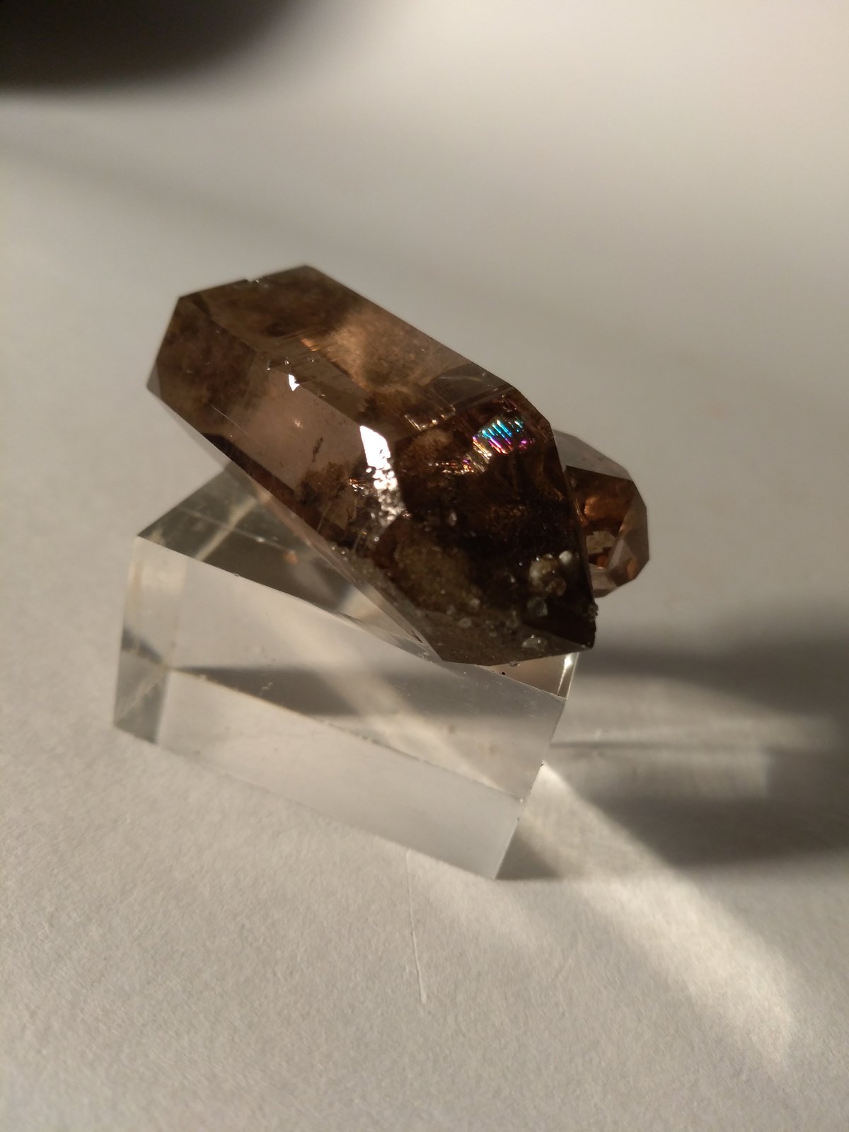 Quartz (variety smoky)
43 x 26 mm
(Autor: Sante Celiberti)