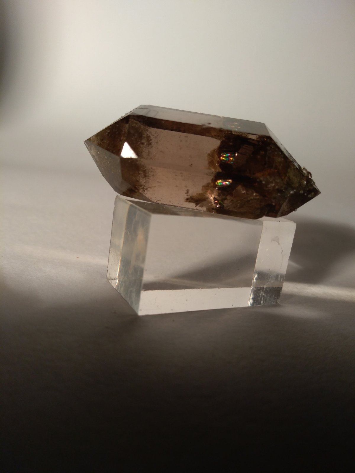 Quartz (variety smoky)
43 x 26 mm
(Autor: Sante Celiberti)