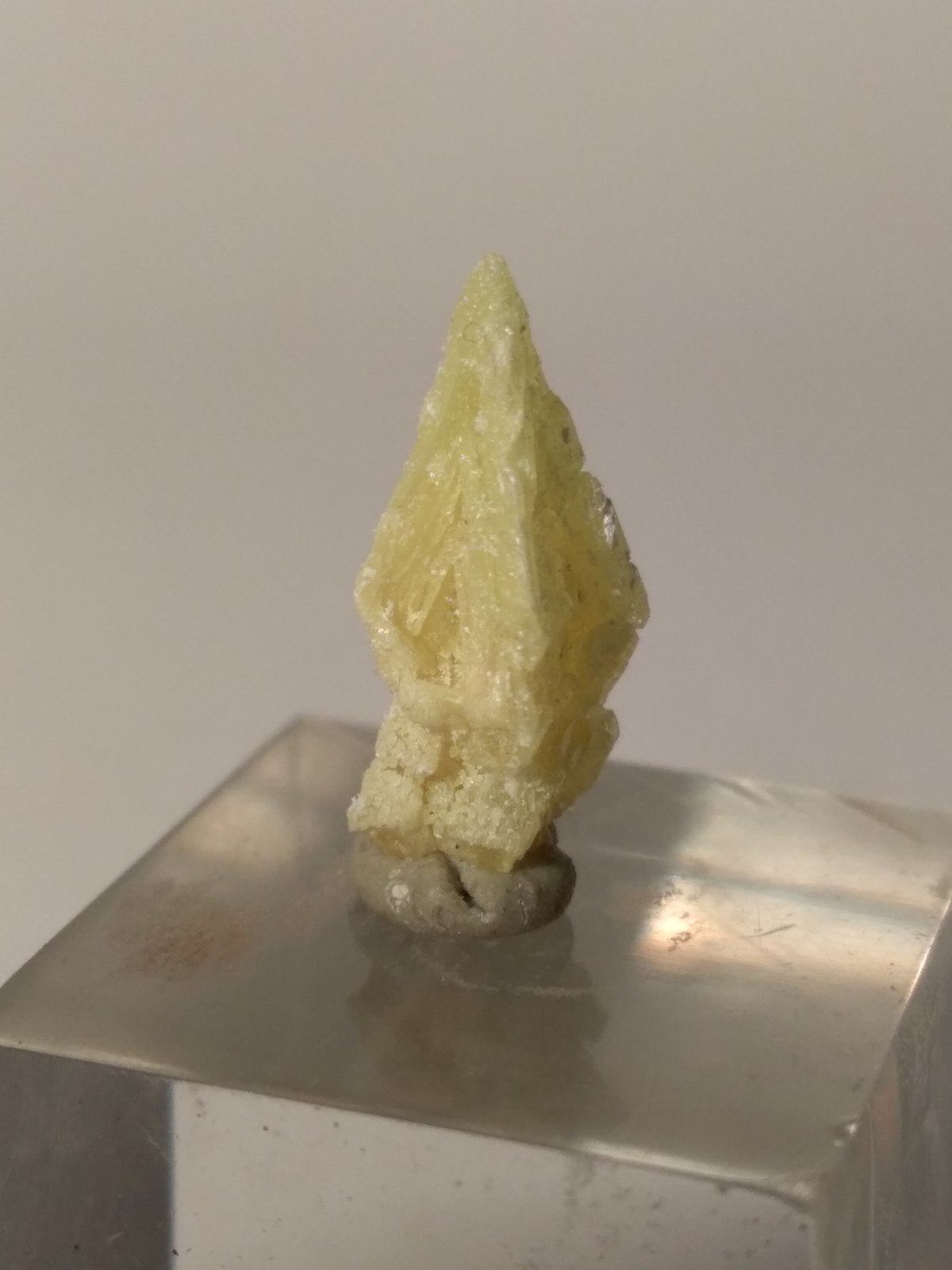Sulphur
18 x 8 mm
(Autor: Sante Celiberti)
