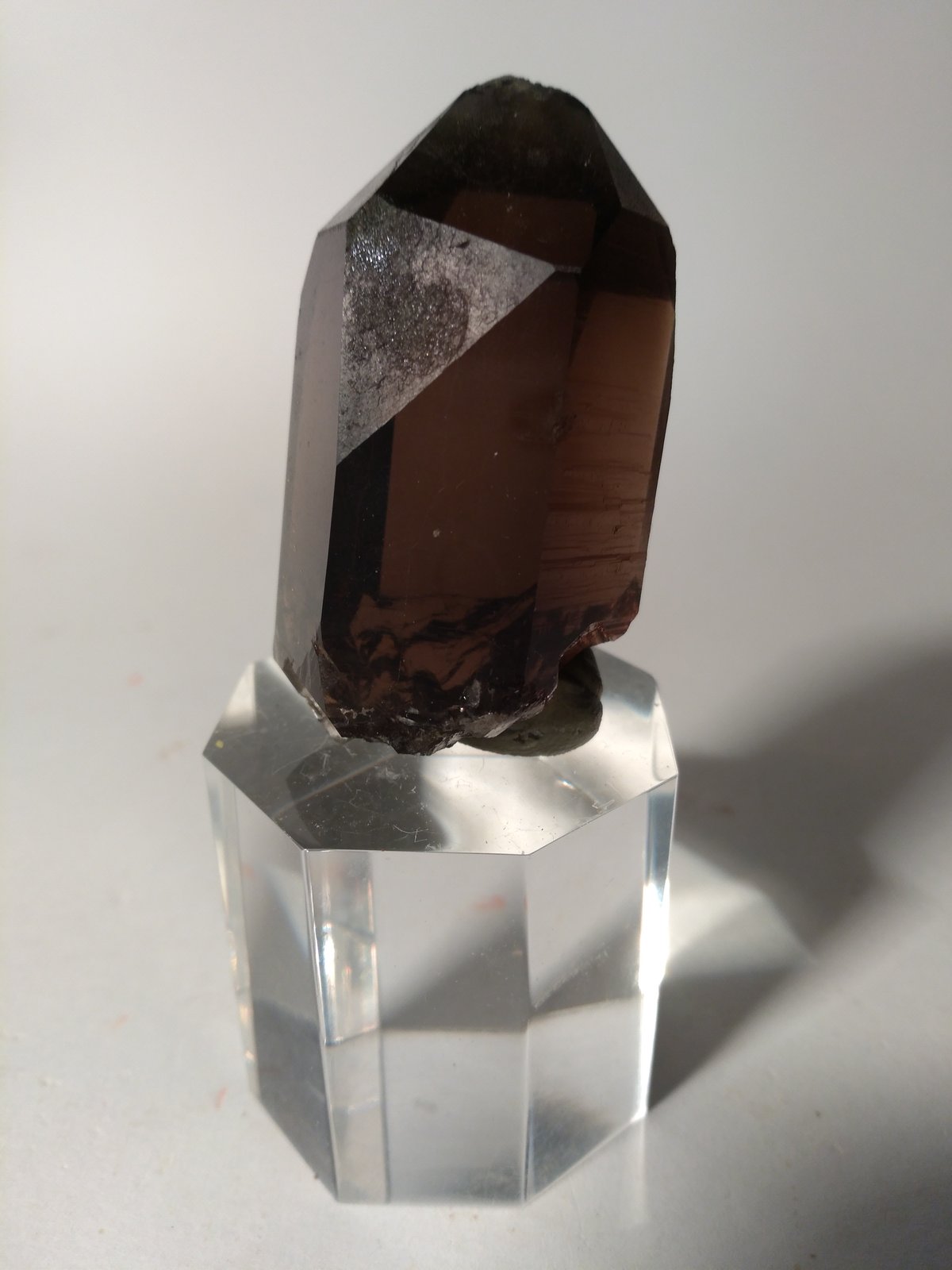 Quartz (variety smoky)
54 x 27 mm
(Autor: Sante Celiberti)