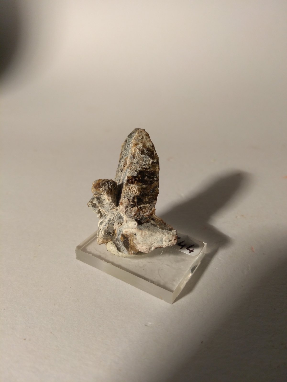 Augite (Var.: Fassaite)
36,5 x 27 mm
(Autor: Sante Celiberti)