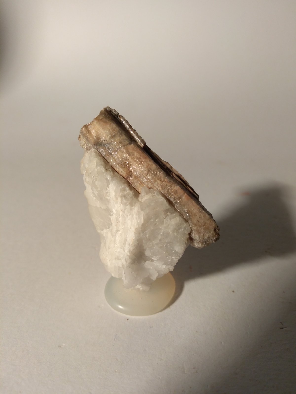 Sillimanite
50 x 39 mm
(Autor: Sante Celiberti)