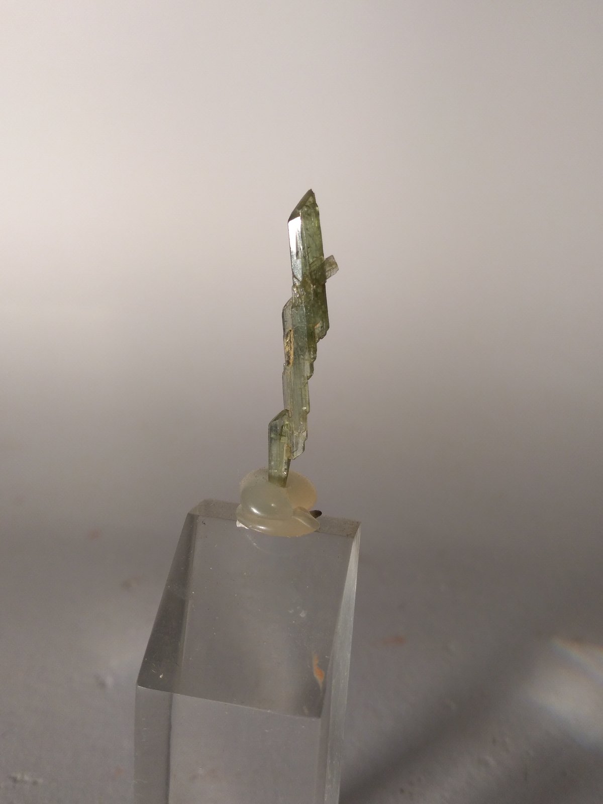 Diopside
30 x 5 mm
(Autor: Sante Celiberti)
