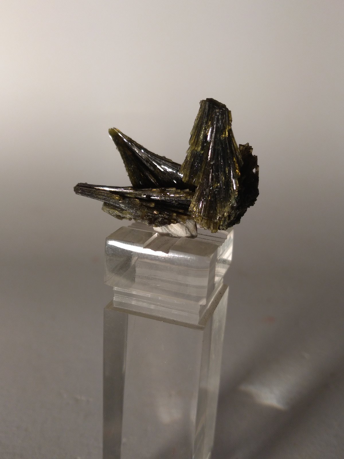 Epidote
28 x 21 mm
(Autor: Sante Celiberti)