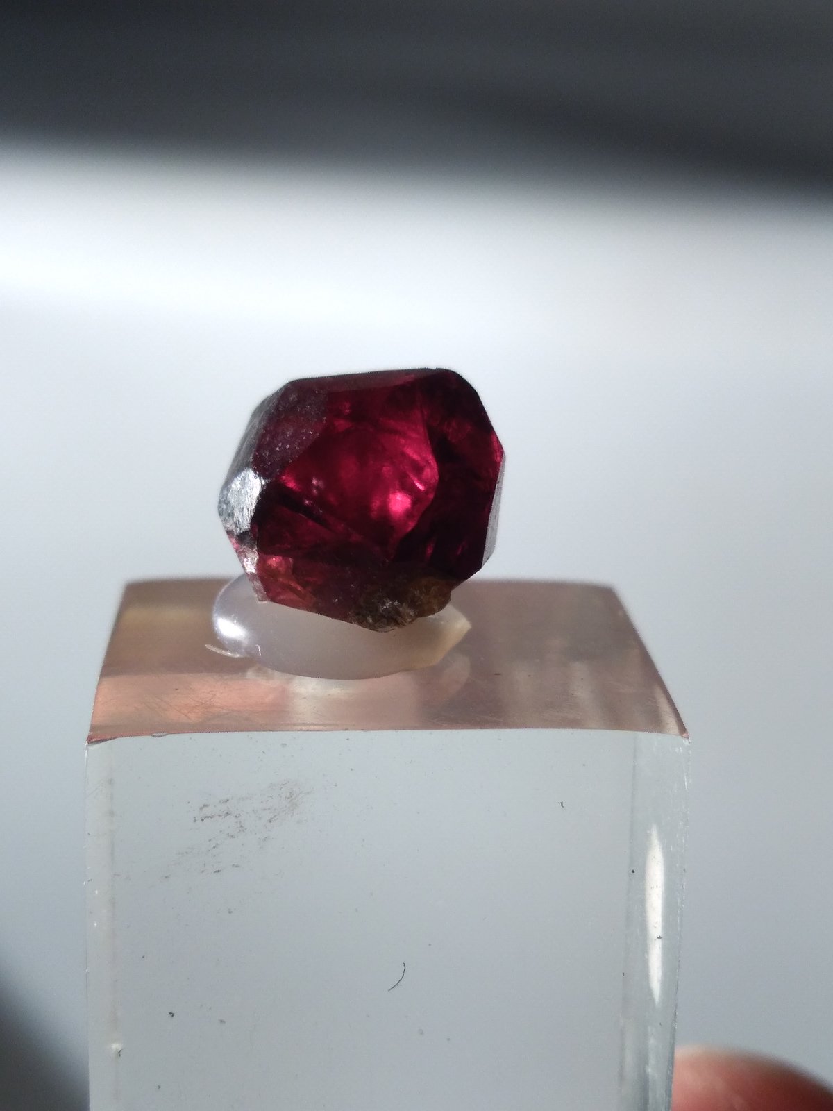 Grossular (variety hessonite)
10 x 8,2 mm
(Autor: Sante Celiberti)