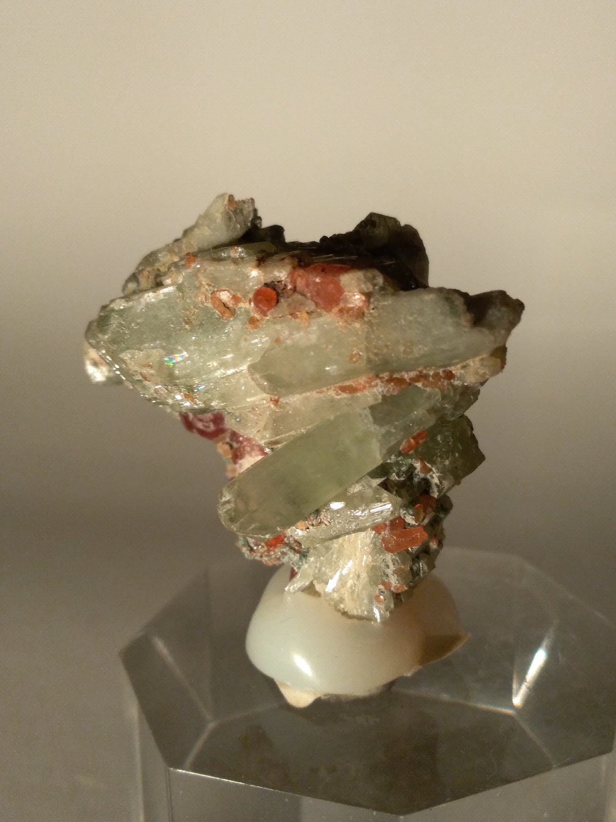 Diopside, Grossular (Var.: Hessonite)
37,5 x 39,5 mm
(Autor: Sante Celiberti)