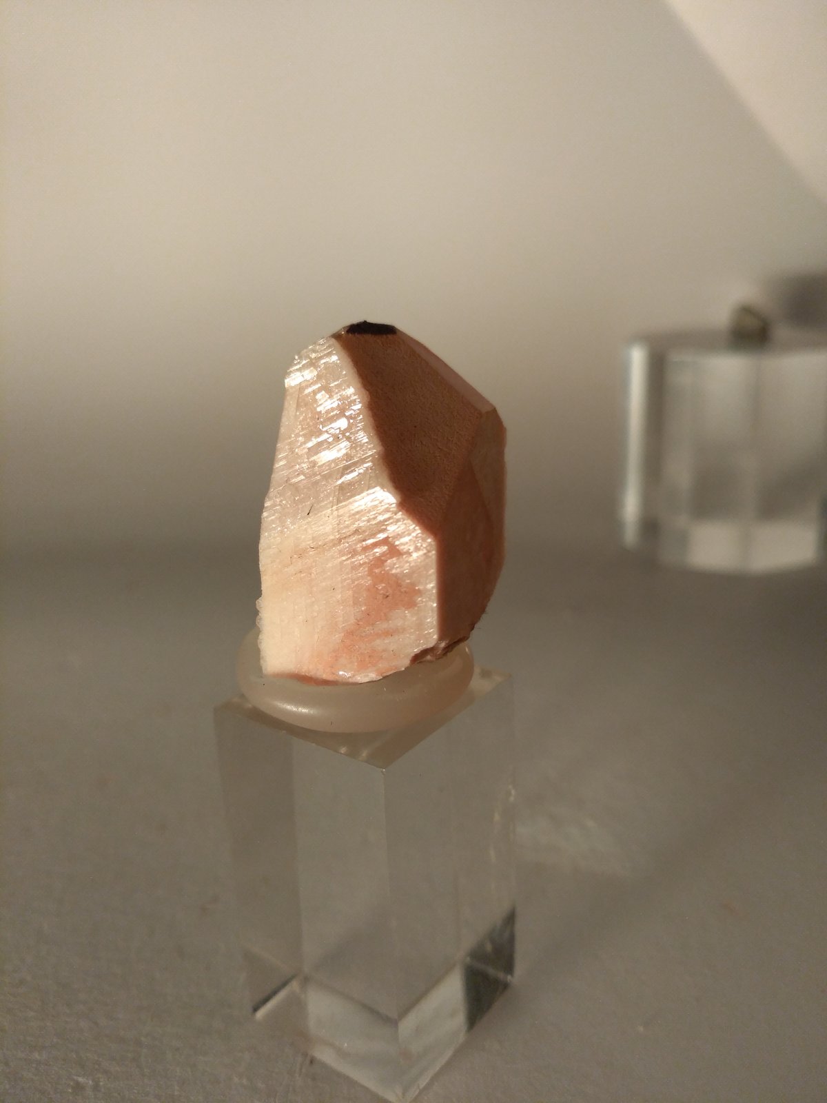 Orthoclase
25 x 16 mm
(Autor: Sante Celiberti)