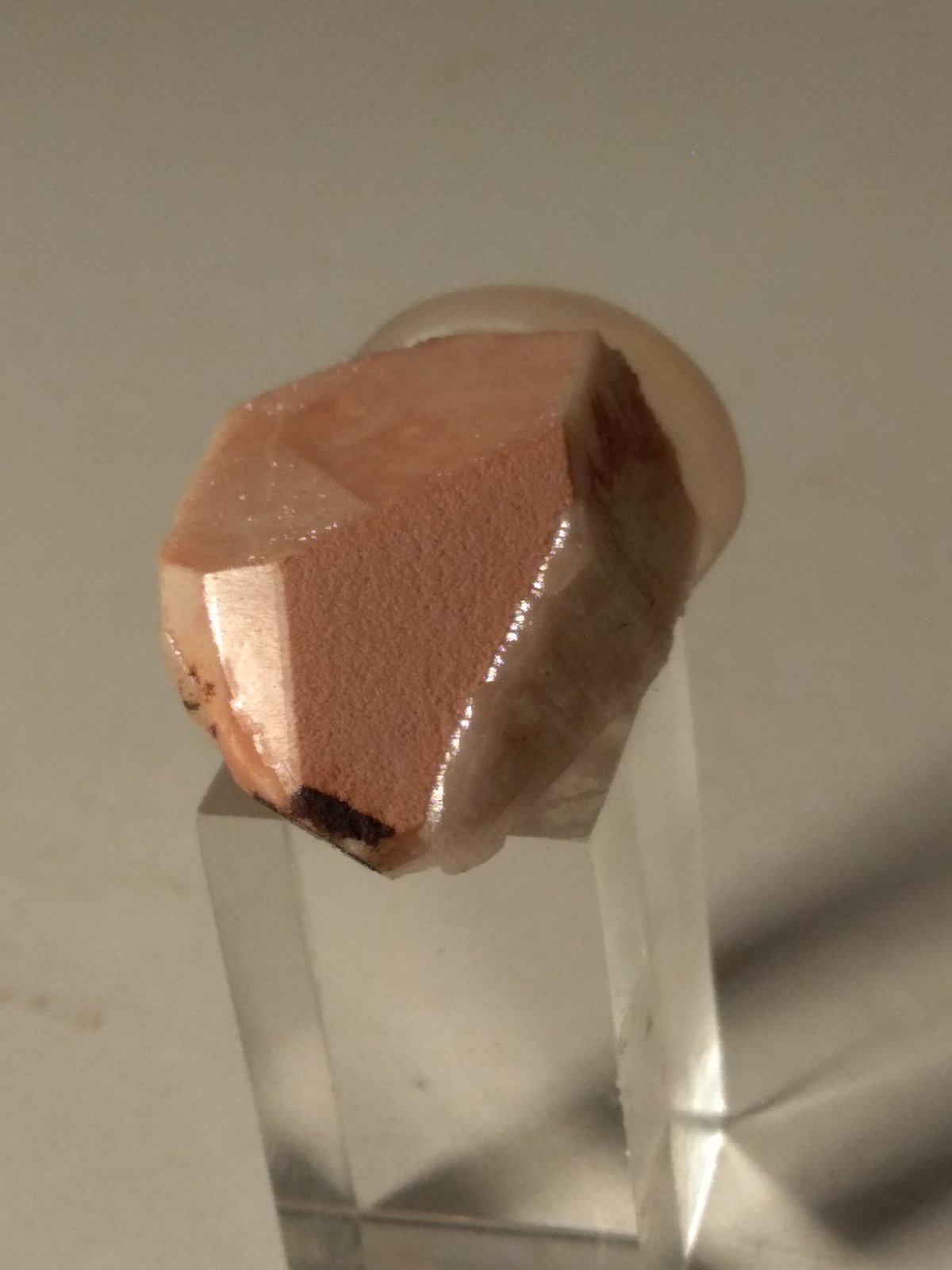 Orthoclase
25 x 16 mm
(Autor: Sante Celiberti)