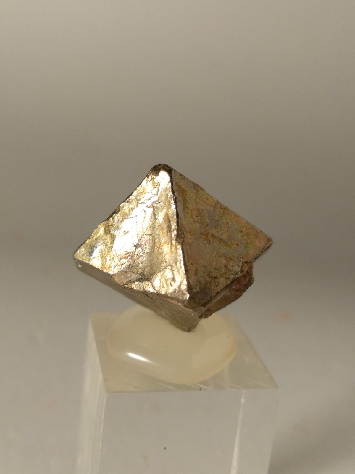 Pyrite
20 x 18 mm
(Autor: Sante Celiberti)