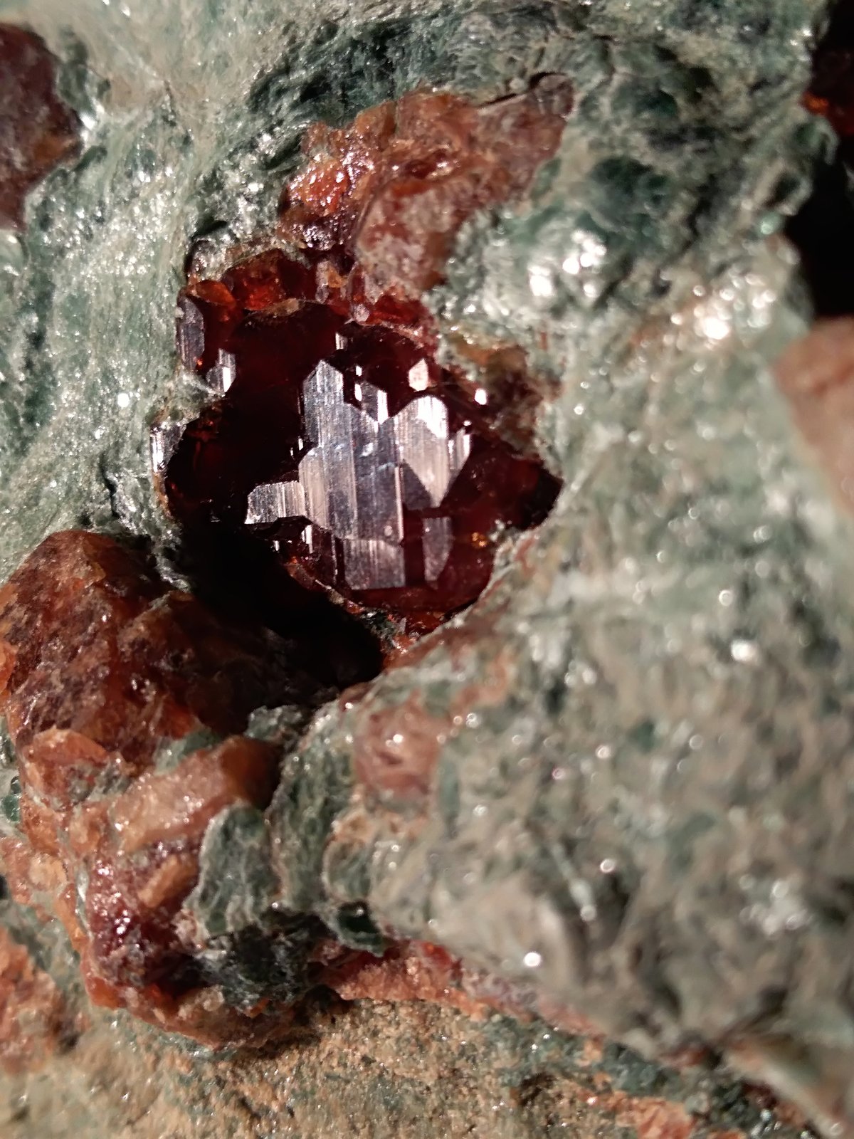 Grossular (variety hessonite), Clinochlore
73 x 59 mm
(Autor: Sante Celiberti)