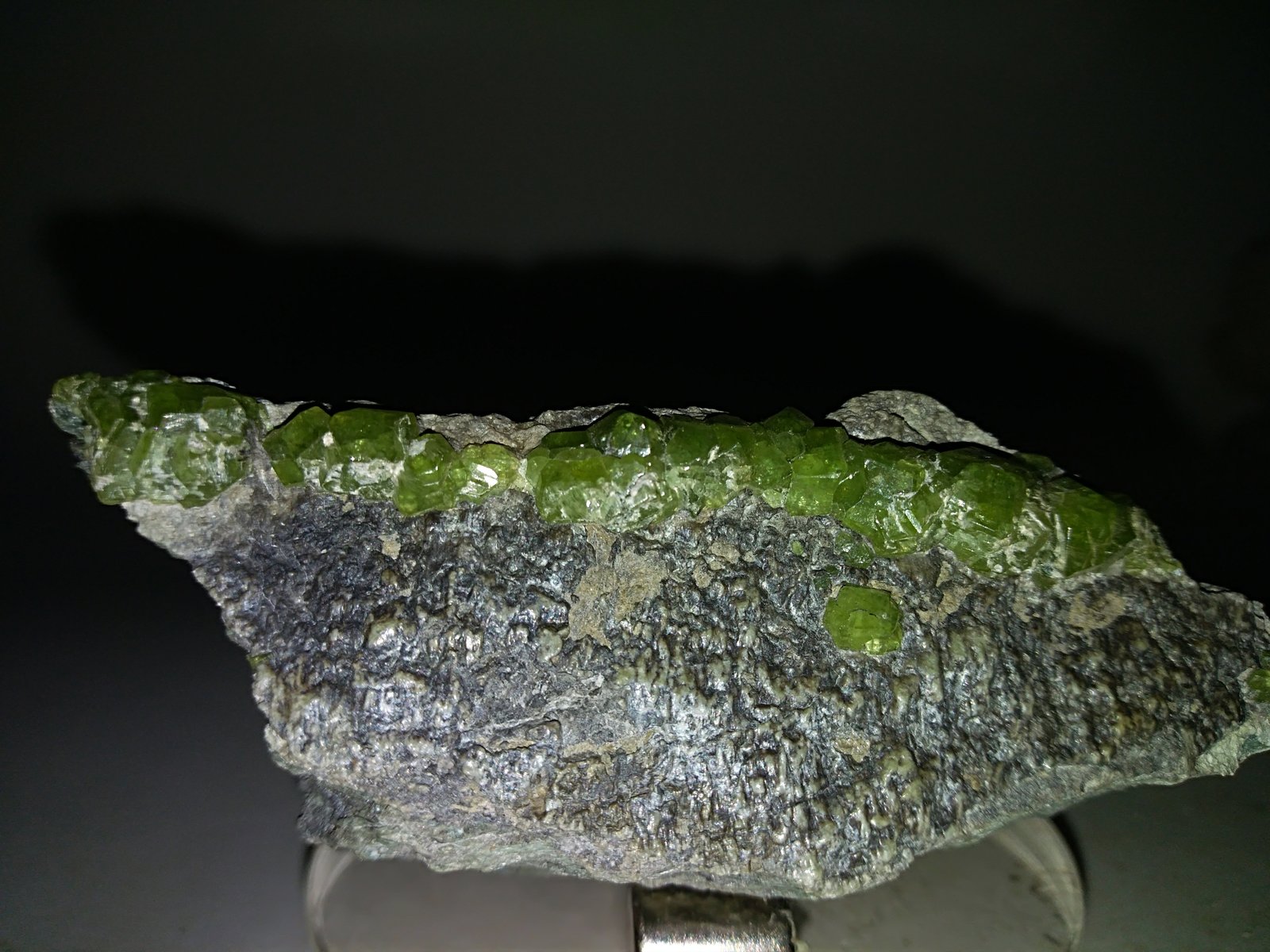 Andradite (variety demantoid)
77 x 36 mm
(Autor: Sante Celiberti)