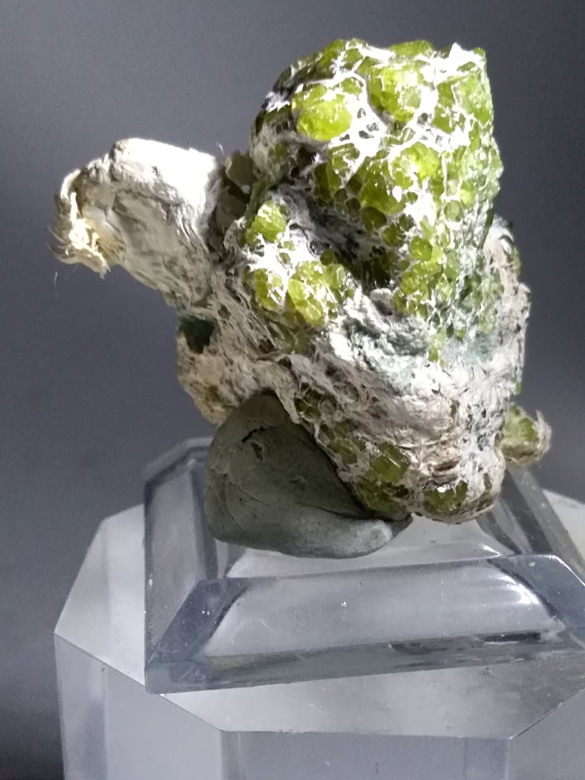 Andradite (variety demantoid), asbestos
33 x 32 mm
(Autor: Sante Celiberti)