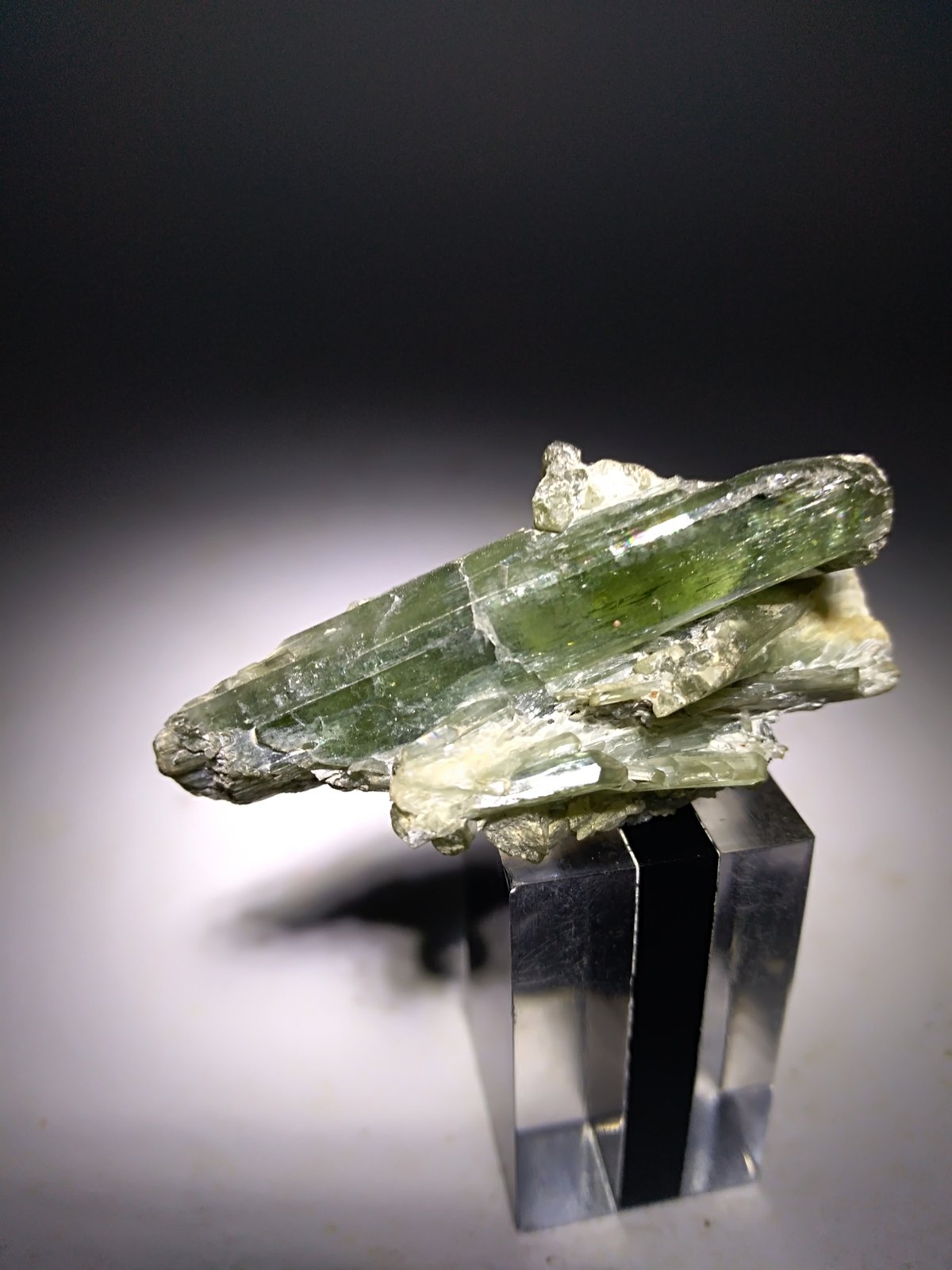 Diopside
43 x 21 mm
(Autor: Sante Celiberti)