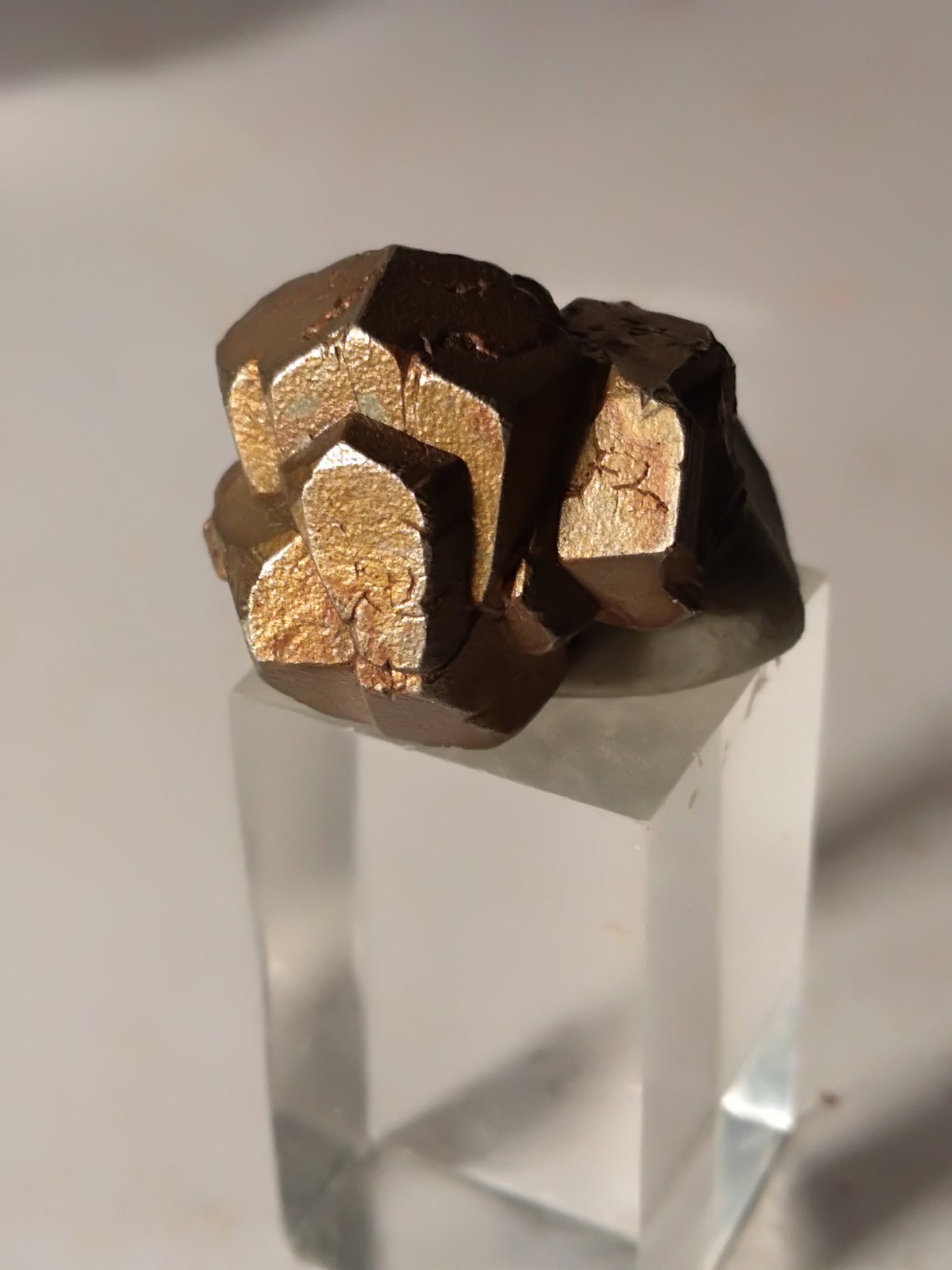 Pyrite
17,6 x 18,2
(Autor: Sante Celiberti)