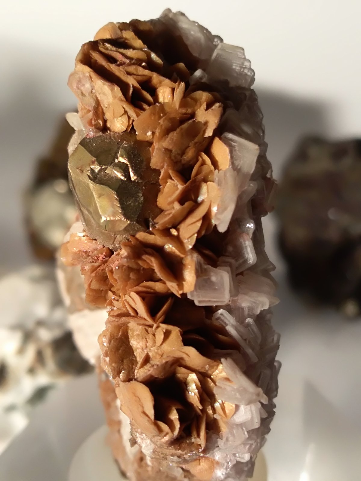 Pyrite, Calcite, Baryte, Siderite, Talc
49 x 50 mm
(Autor: Sante Celiberti)