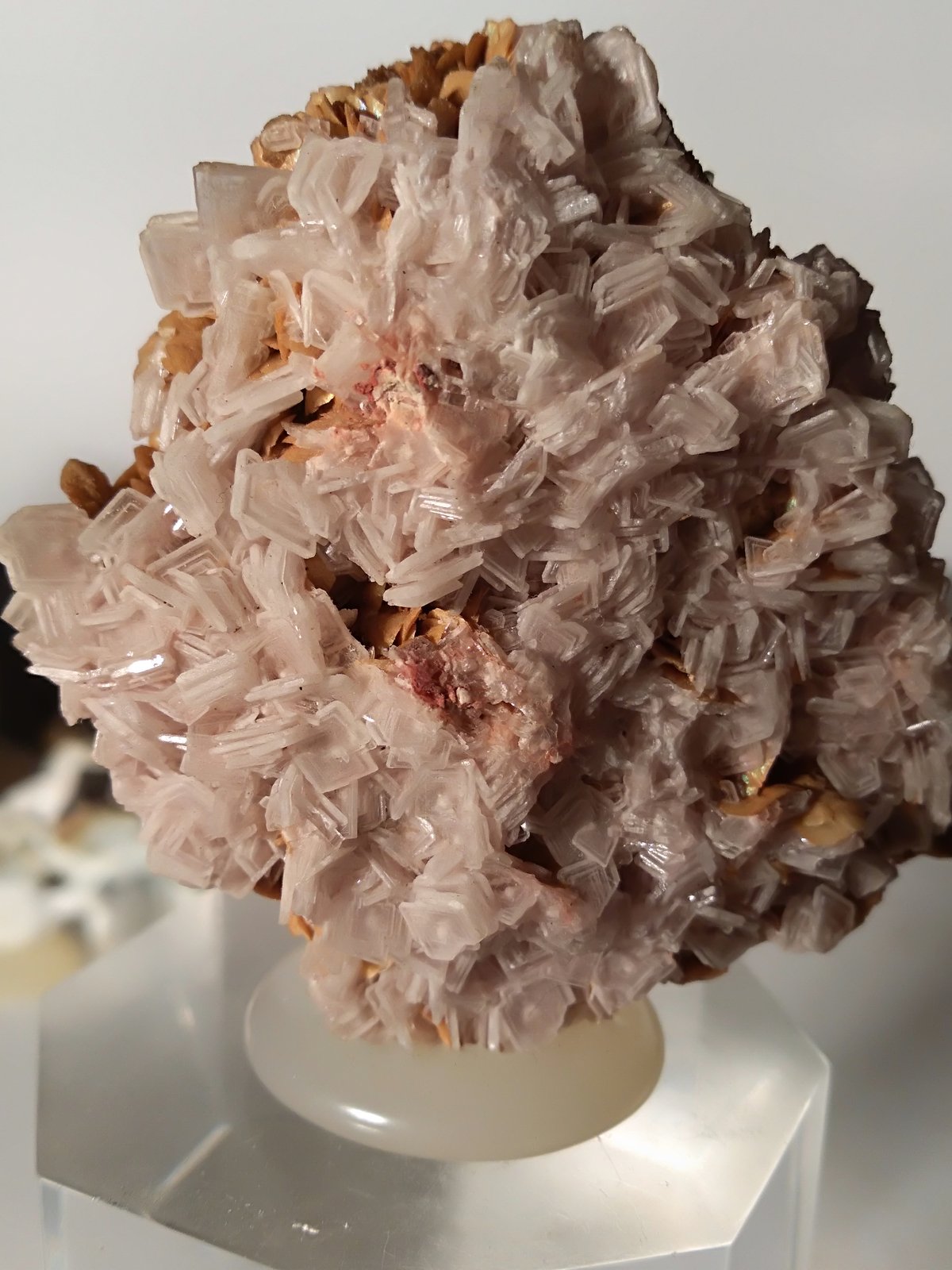Pyrite, Calcite, Baryte, Siderite, Talc
49 x 50 mm
(Autor: Sante Celiberti)