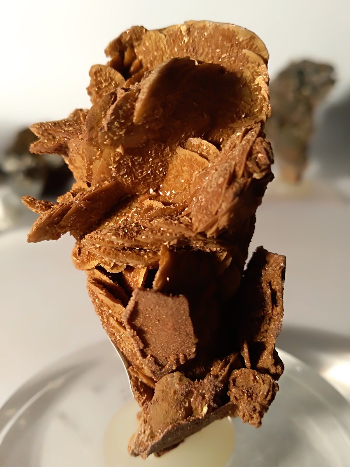 Siderite
58 x 31
(Autor: Sante Celiberti)
