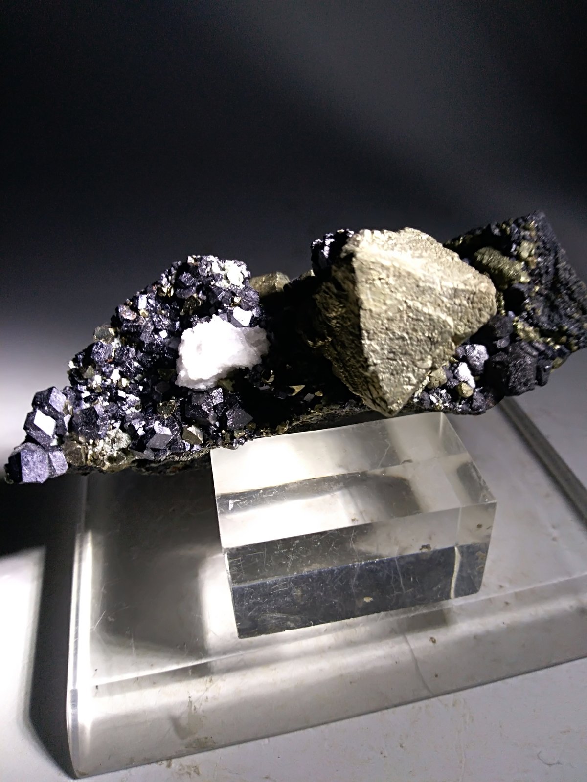 Pyrite, Magnetite
75,3 x 52,5 mm
(Autor: Sante Celiberti)