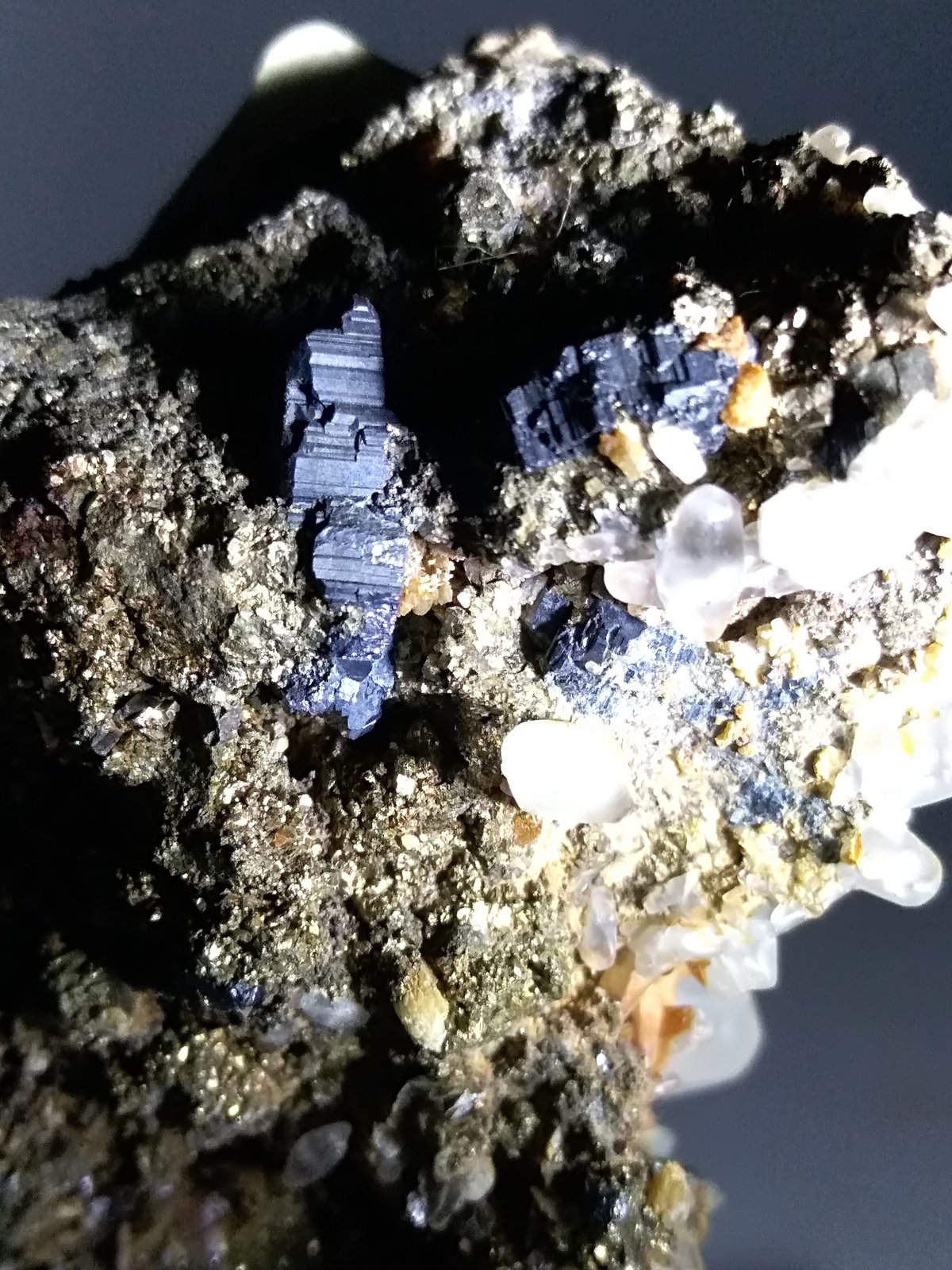 Bournonite, Pyrite, Calcite, Siderite
62 x 49 mm
(Autor: Sante Celiberti)