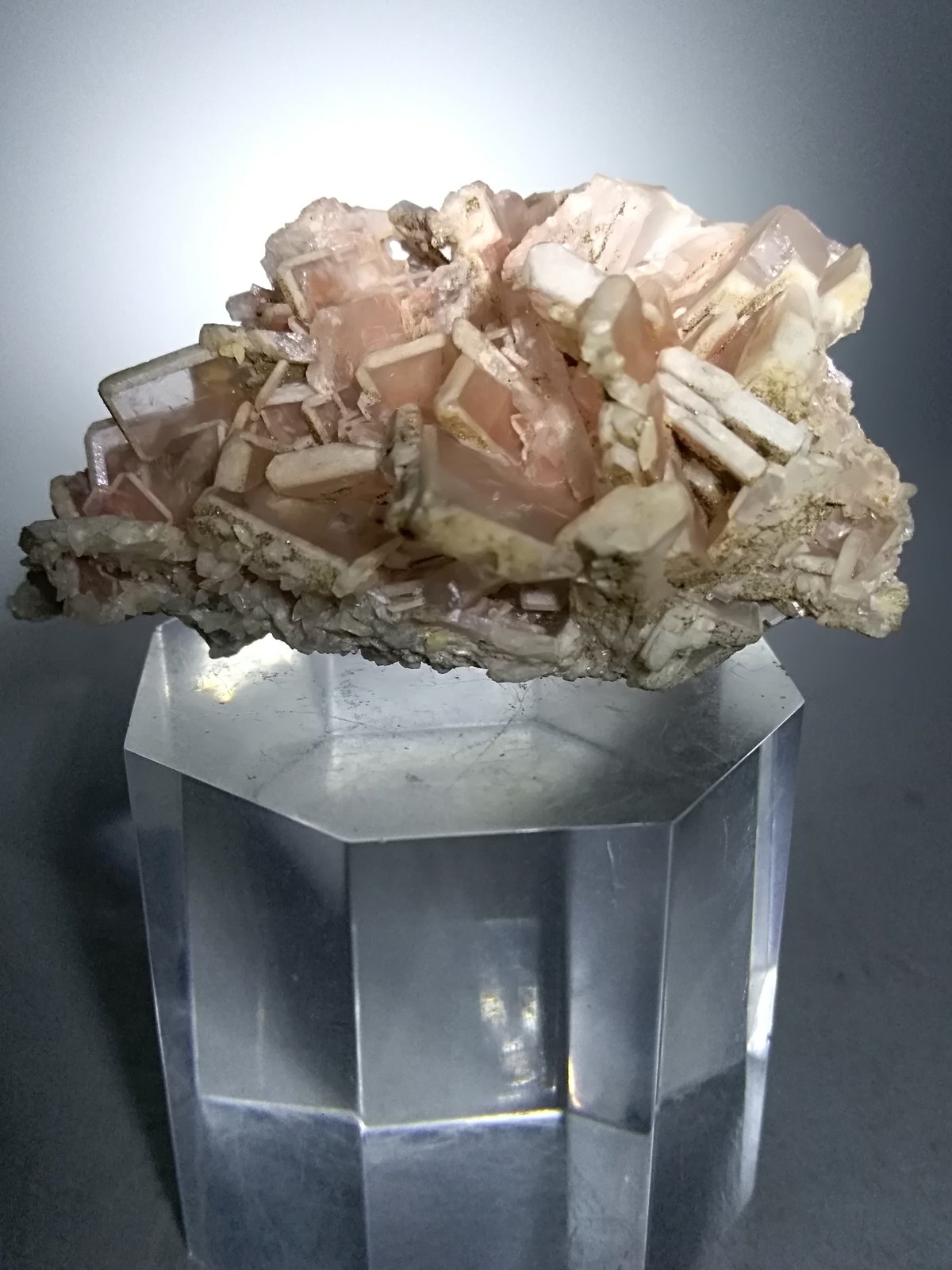 Baryte
55,4 x 32 mm
(Autor: Sante Celiberti)