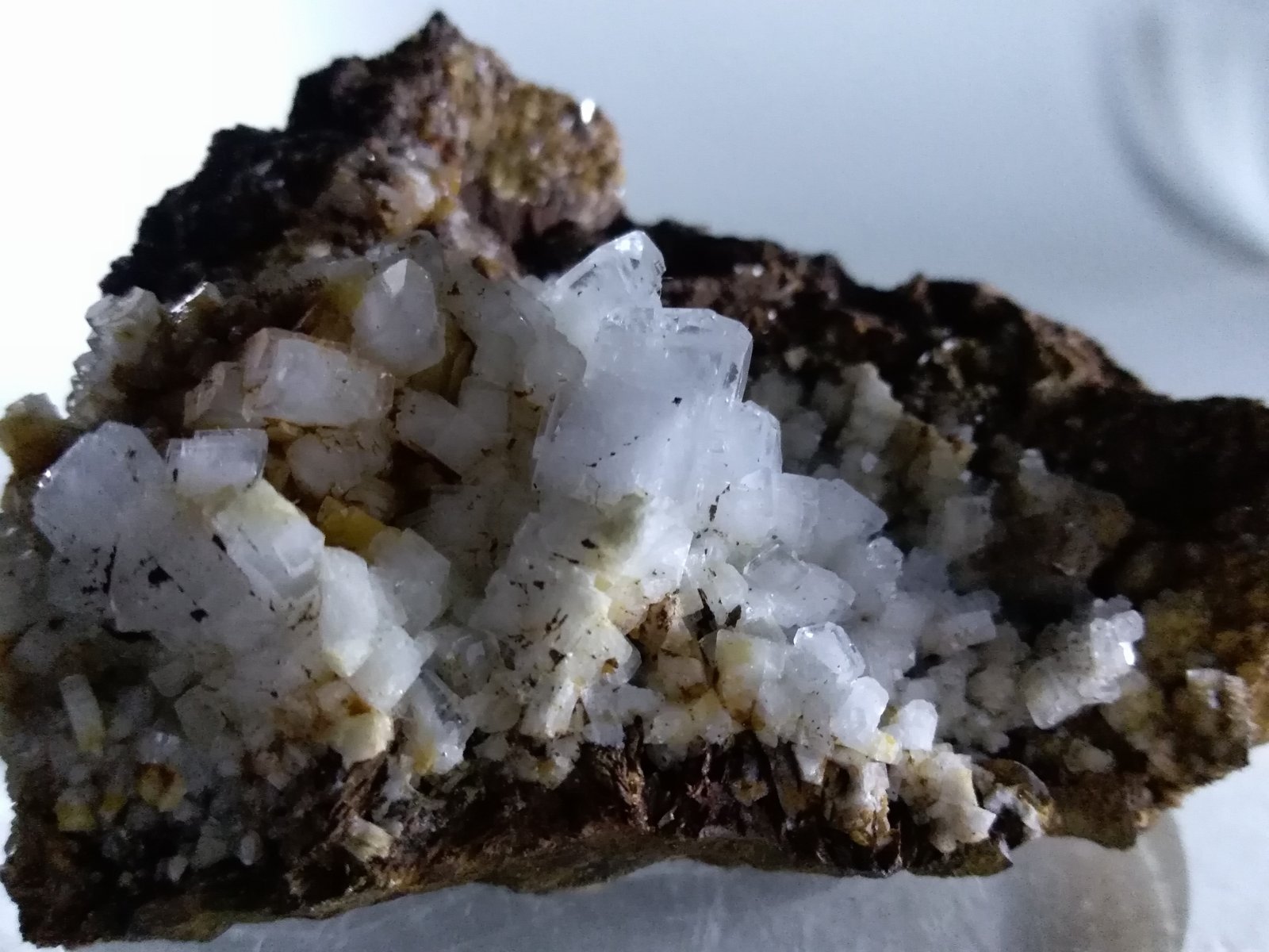 Baryte on Siderite
64 x 48 mm
(Autor: Sante Celiberti)