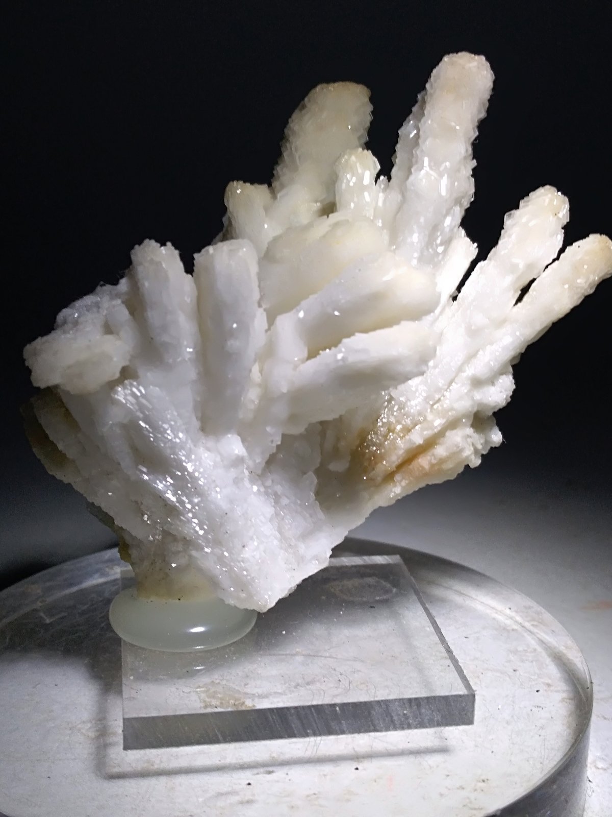 Baryte
54 x 50 mm
(Autor: Sante Celiberti)