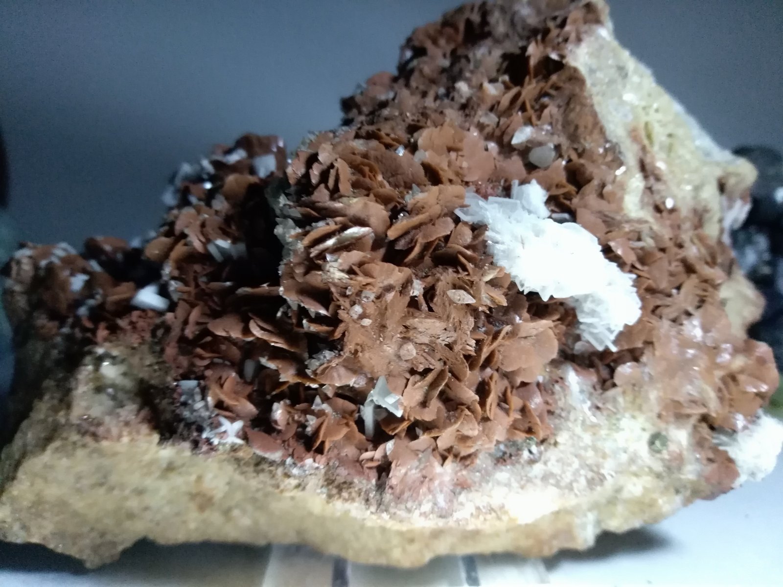 Siderite, Baryte, Calcite
132 x 87 mm
(Autor: Sante Celiberti)