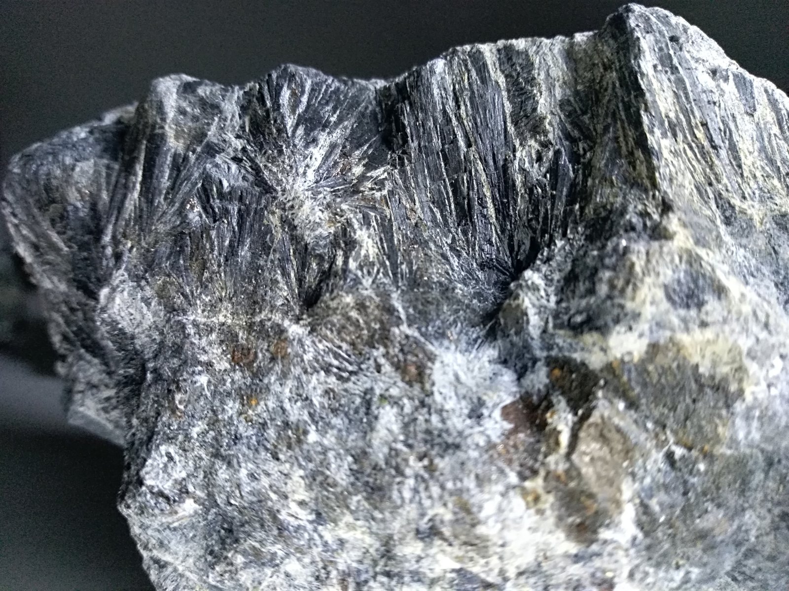 Ludwigite, Szaibelyite
125 x 70 mm
(Autor: Sante Celiberti)