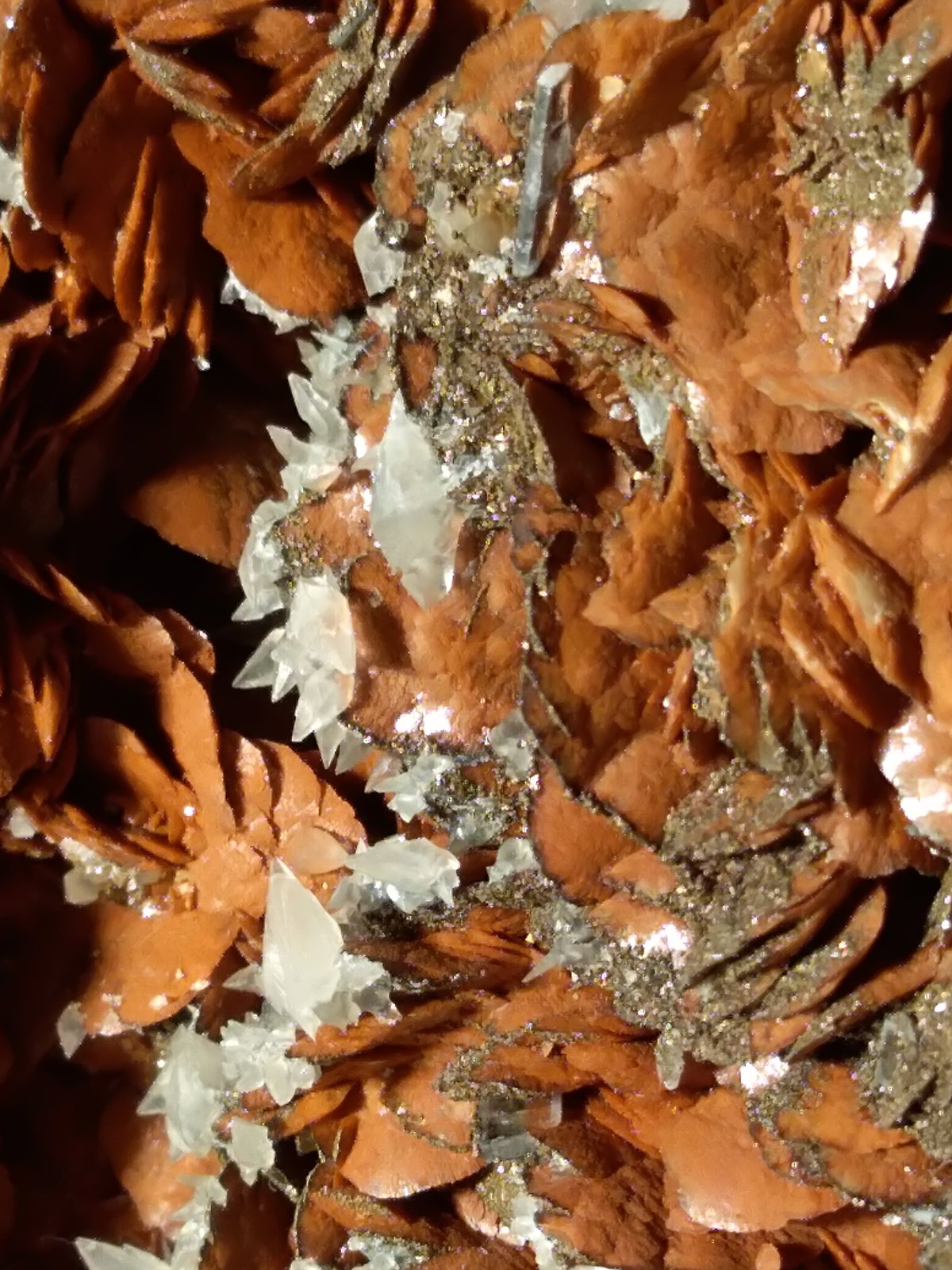 Siderite, Calcite, Pyrite, Baryte
180 x 130 mm
(Autor: Sante Celiberti)