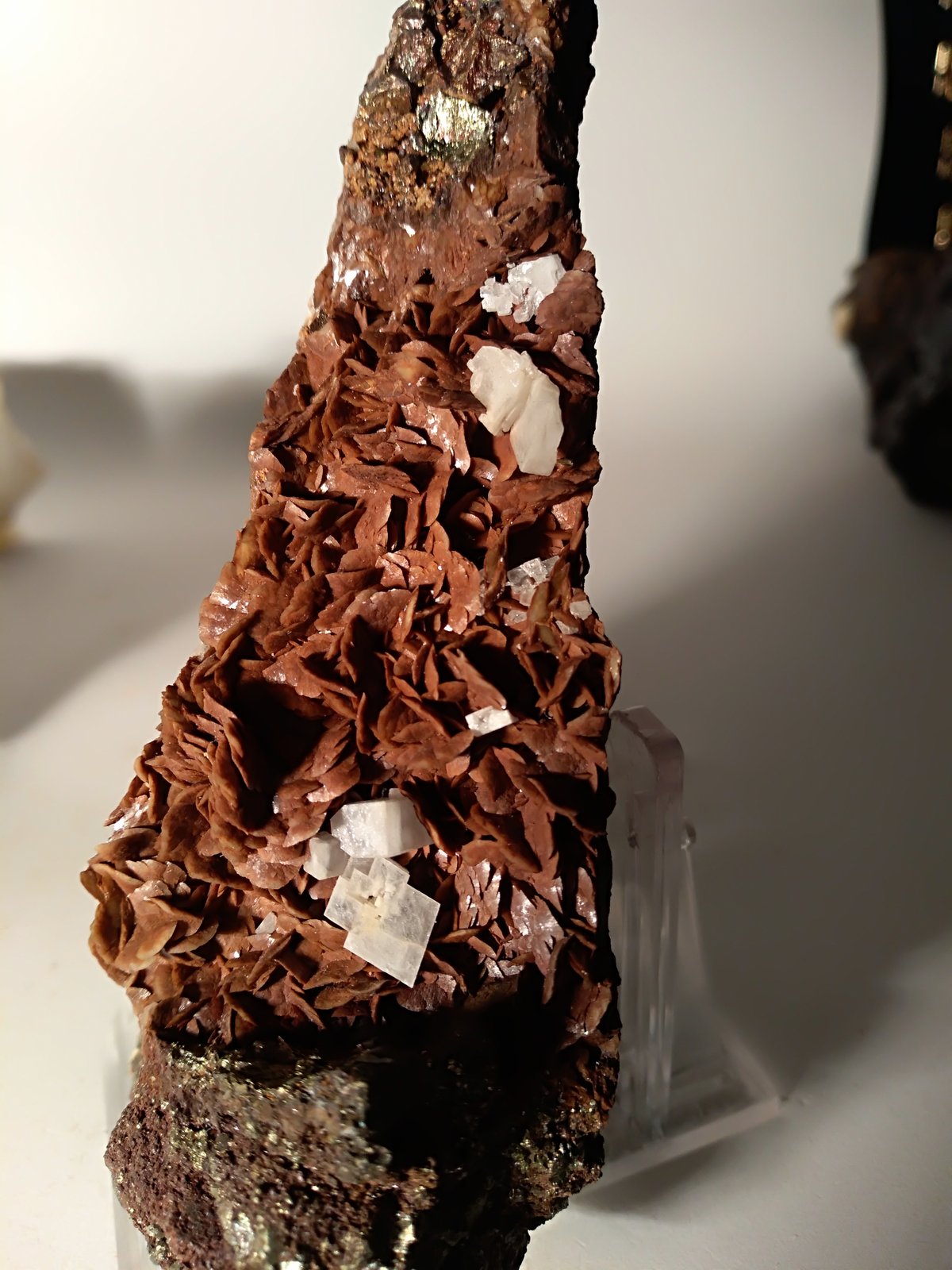 Siderite, Baryte, Pyrite
128 x 37 mm
(Autor: Sante Celiberti)