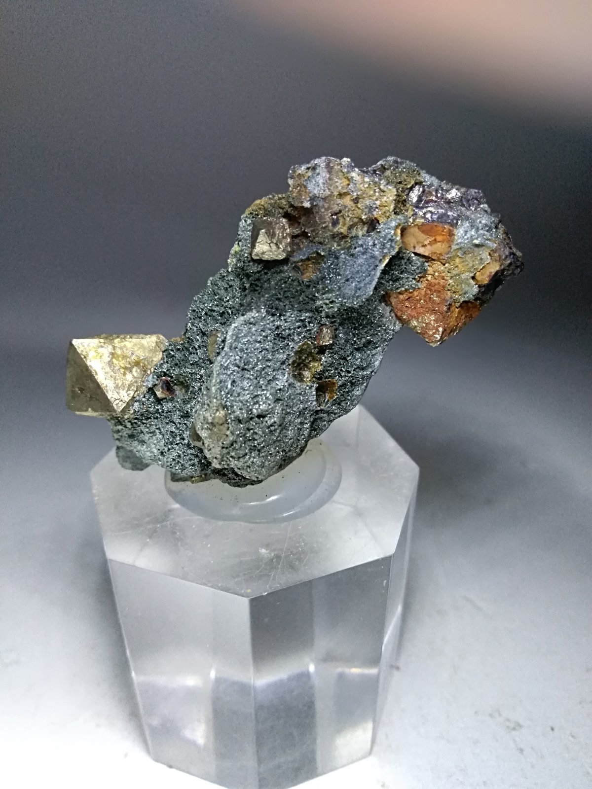Pyrite, 'Chlorite'
51,7 x 24 mm
(Autor: Sante Celiberti)