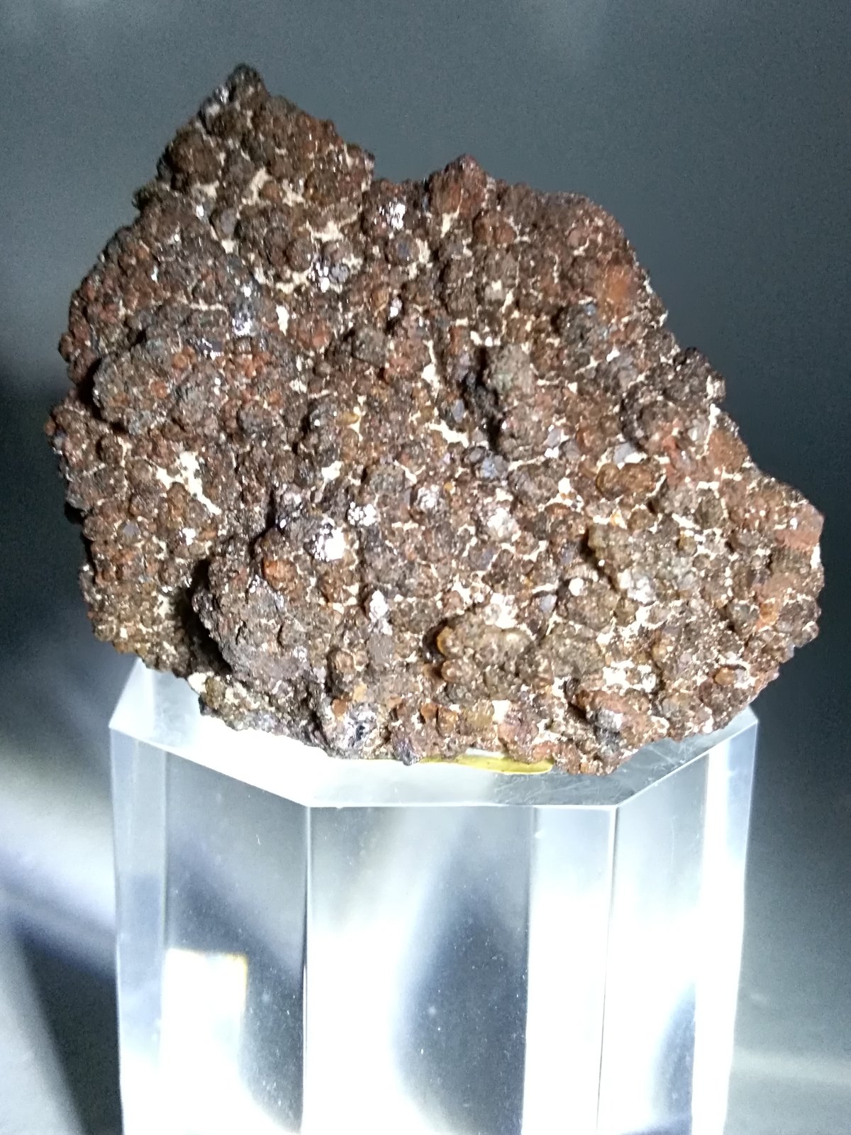 Siderite (variety magnesian)
45 x 38 mm
(Autor: Sante Celiberti)