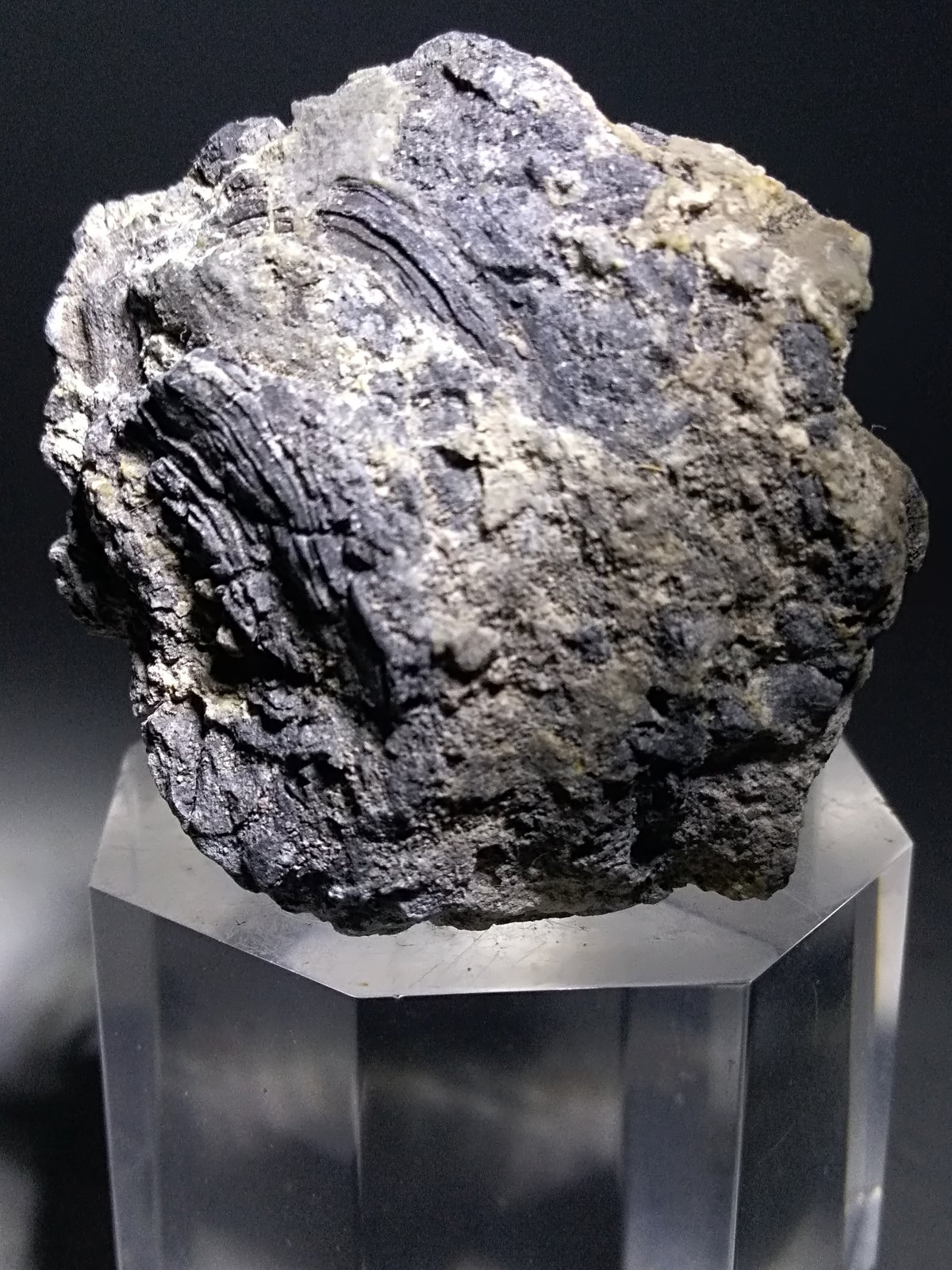 Arsenic
40 x 38 mm
(Autor: Sante Celiberti)
