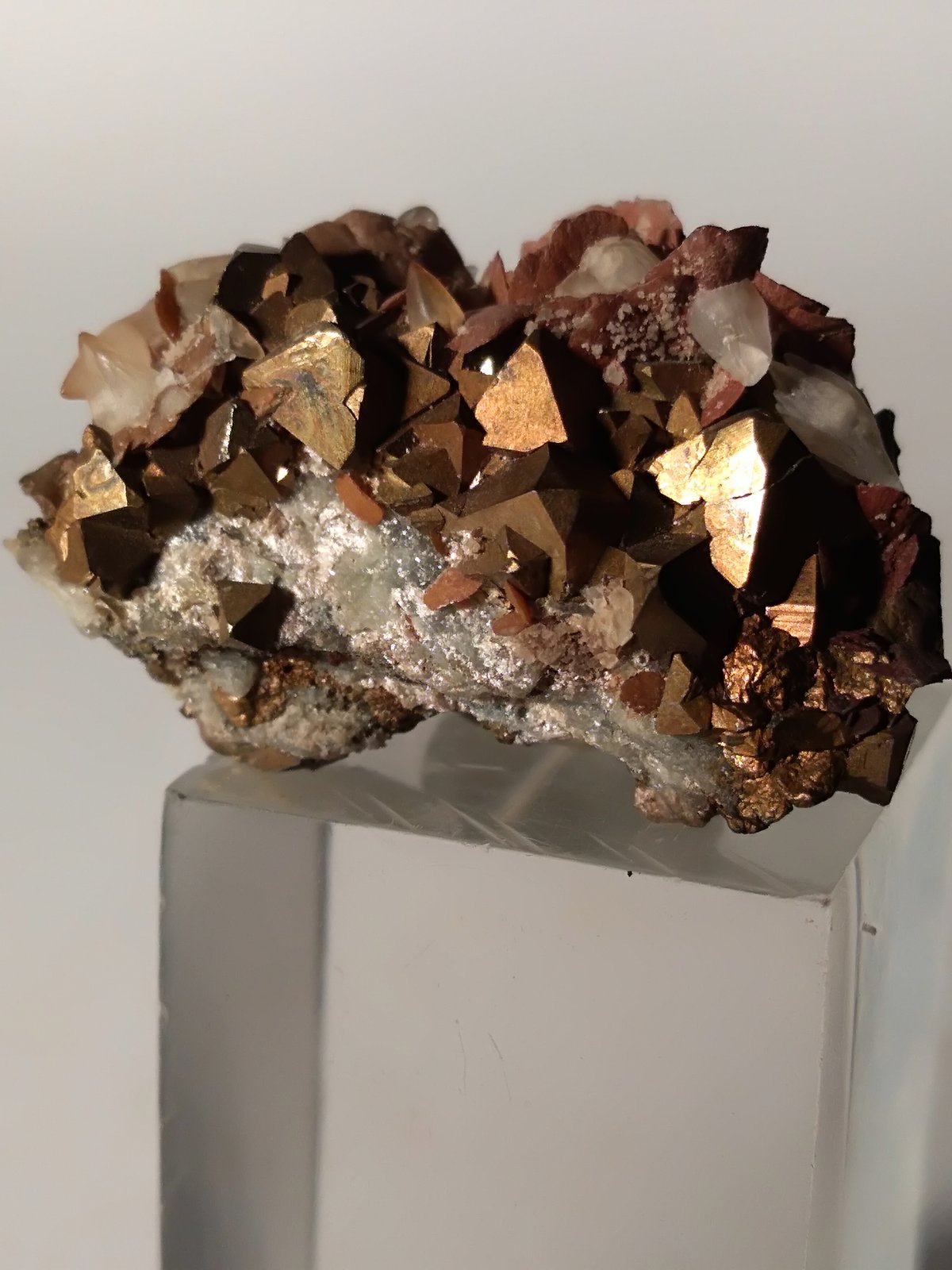 Pyrite, Talc, Calcite, Siderite, Baryte
22,5 x 14 mm
(Autor: Sante Celiberti)