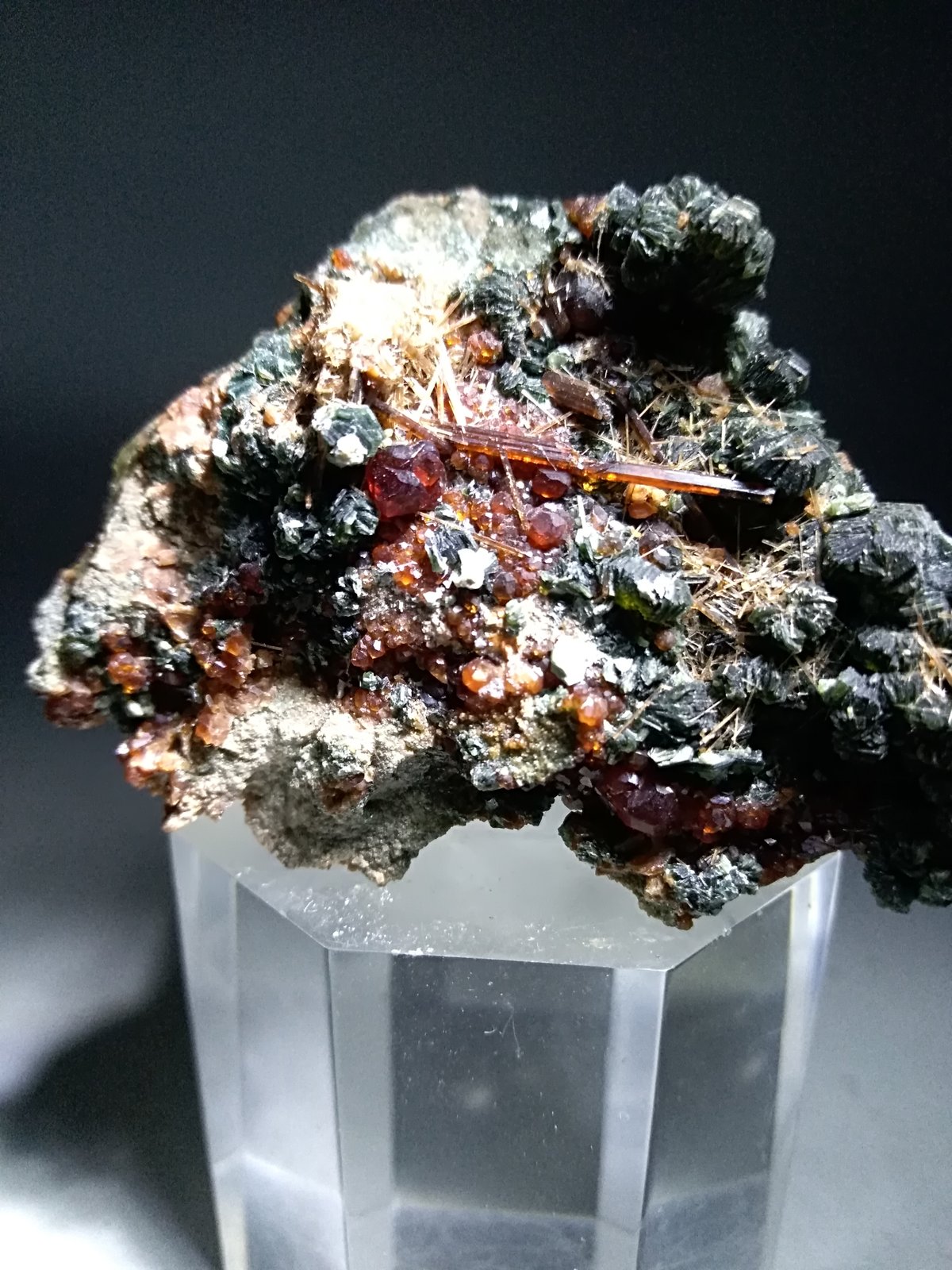 Grossular (variety hessonite), Vesuvianite, Clinochlore
54,5 x 41 mm
(Autor: Sante Celiberti)
