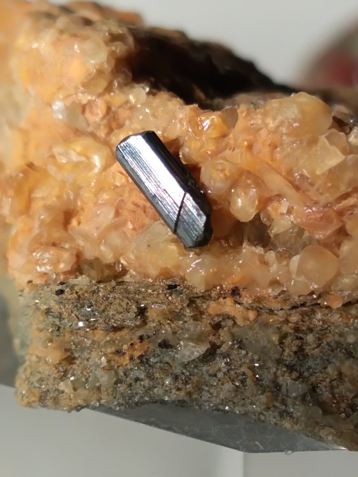 Rutile
29,5 x 30,5 mm
(Autor: Sante Celiberti)