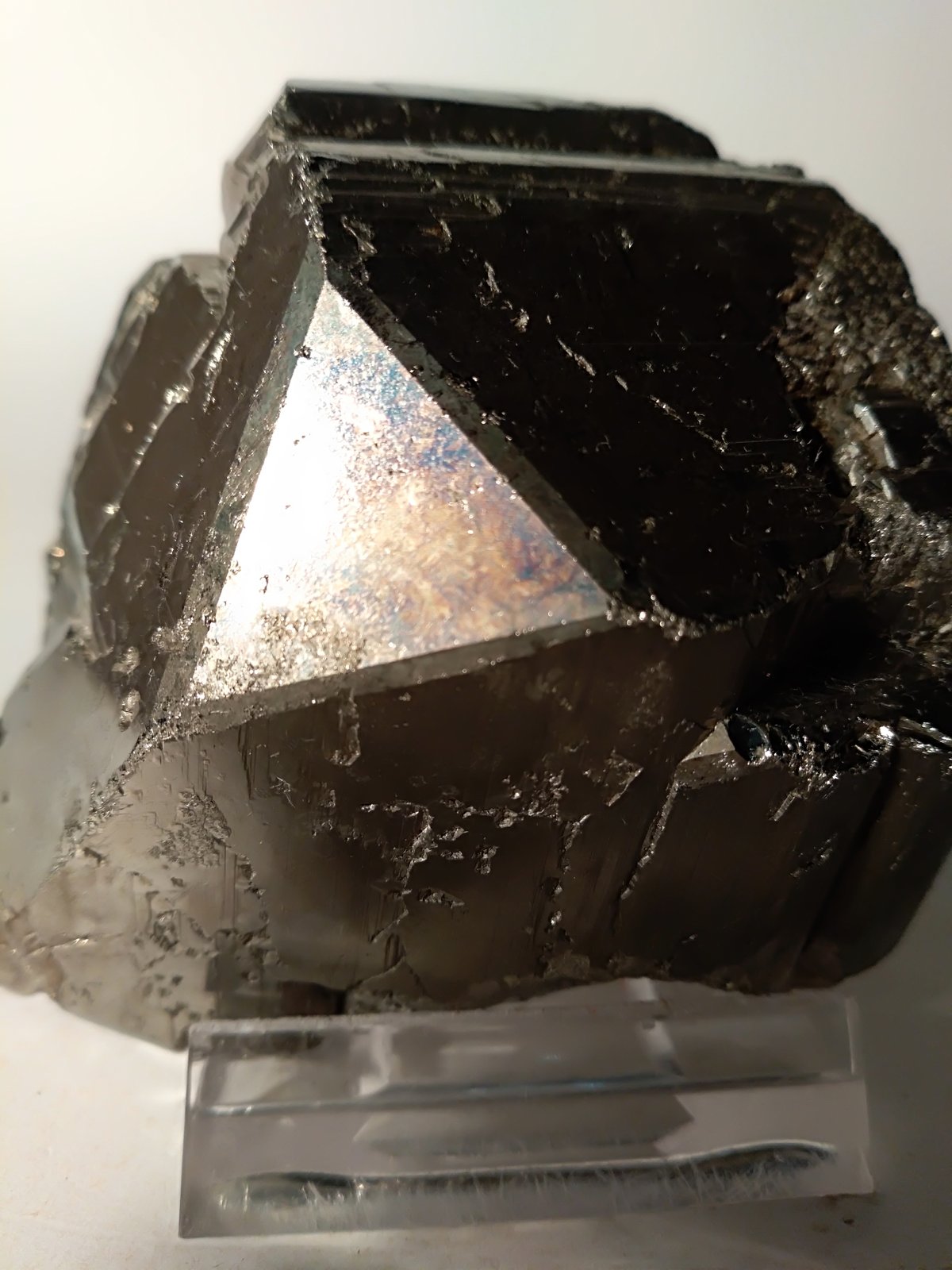 Pyrite
72 x 65 mm
(Autor: Sante Celiberti)