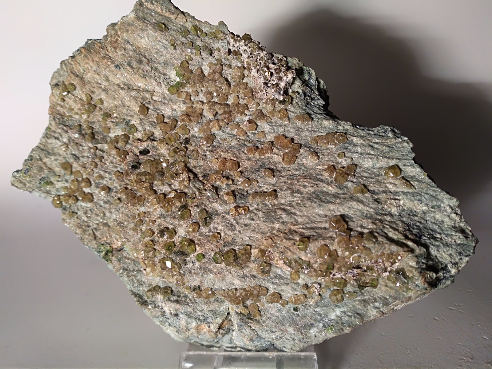 Andradite (variety topazolite)
127 x 91 mm
(Autor: Sante Celiberti)
