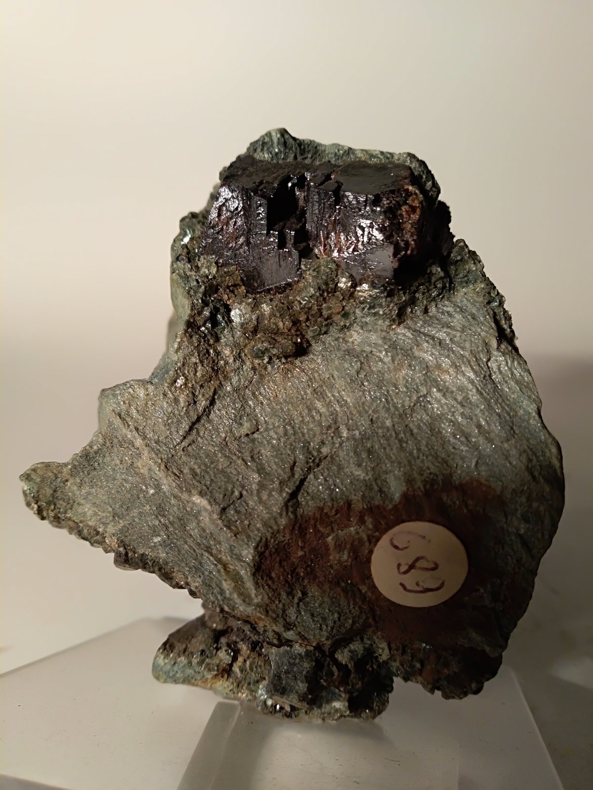 Perovskite
70 x 60 mm
(Autor: Sante Celiberti)