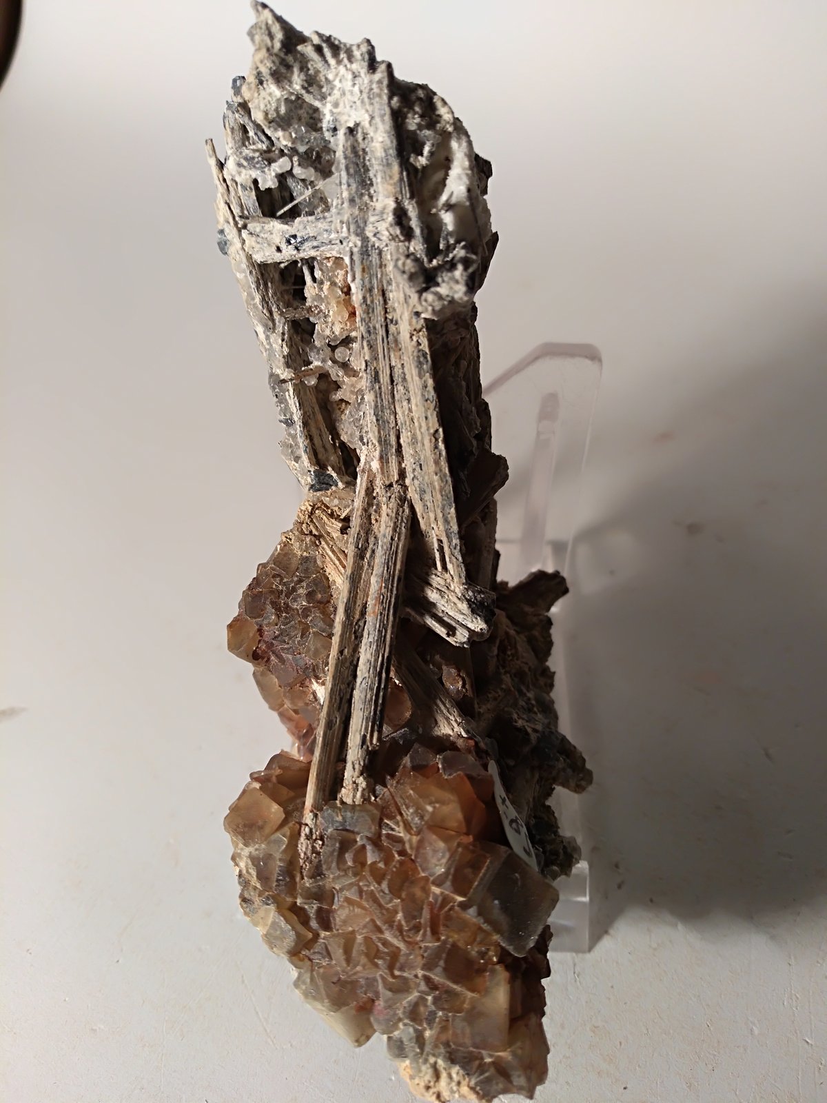 Stibnite, Fluorite
96,5 x 72 mm
(Autor: Sante Celiberti)